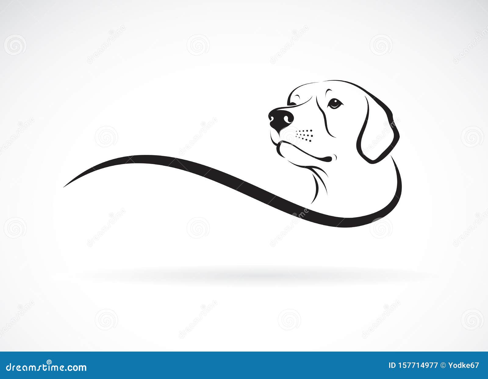 Download Vector Of A Dog Headlabrador Retriever On White Background Pet Animals Dogs Logo Or Icon Easy Editable Layered Vector Stock Vector Illustration Of Cute Face 157714977