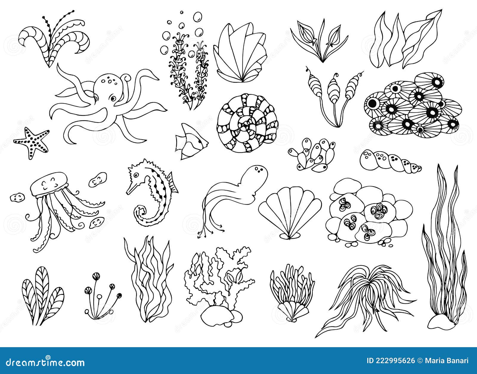 Vector Doodle Illustration Set Sea Creatures and Plants Stock ...