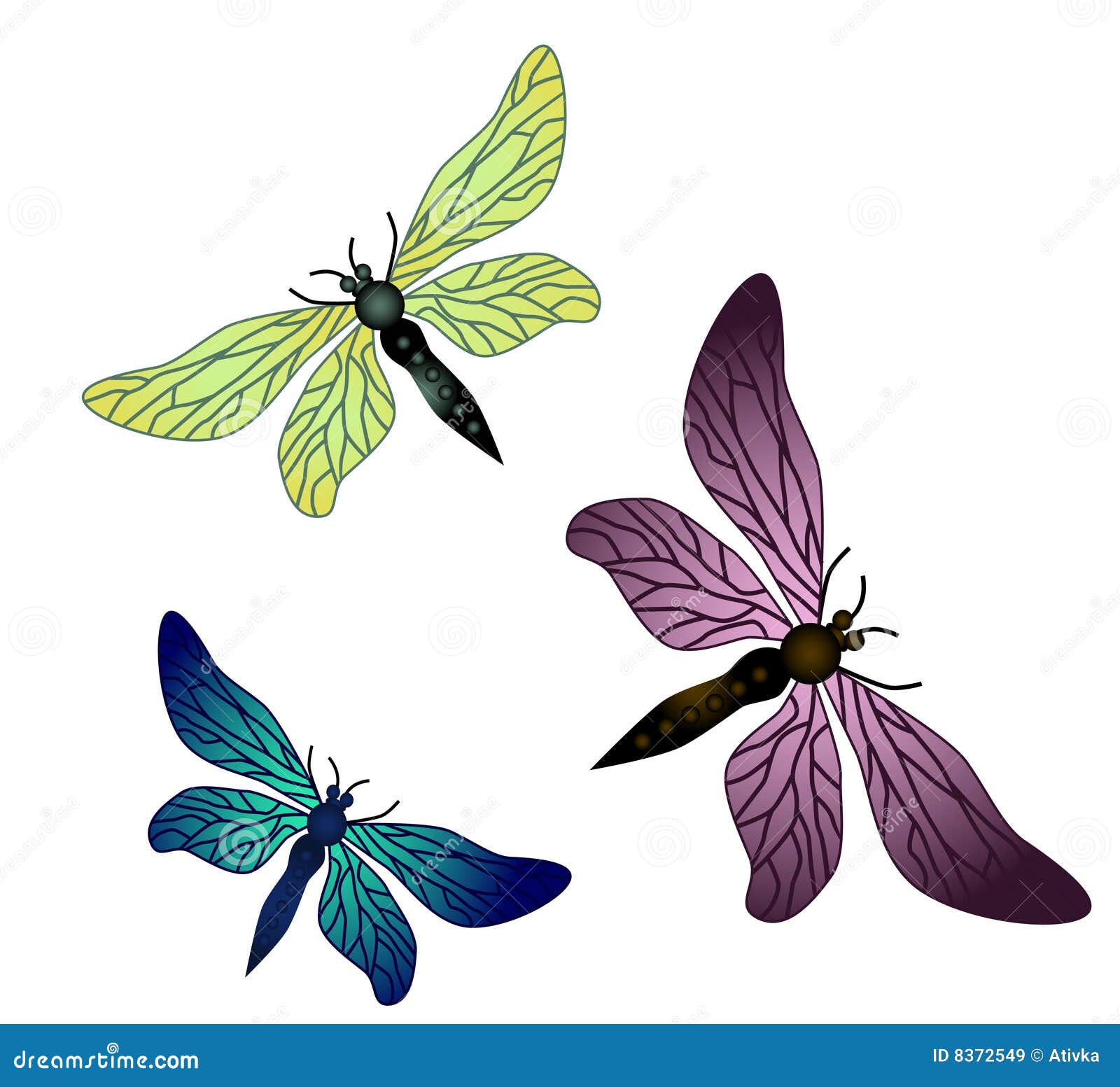 Vector dragonflies stock vector. Image of color, detail - 8372549