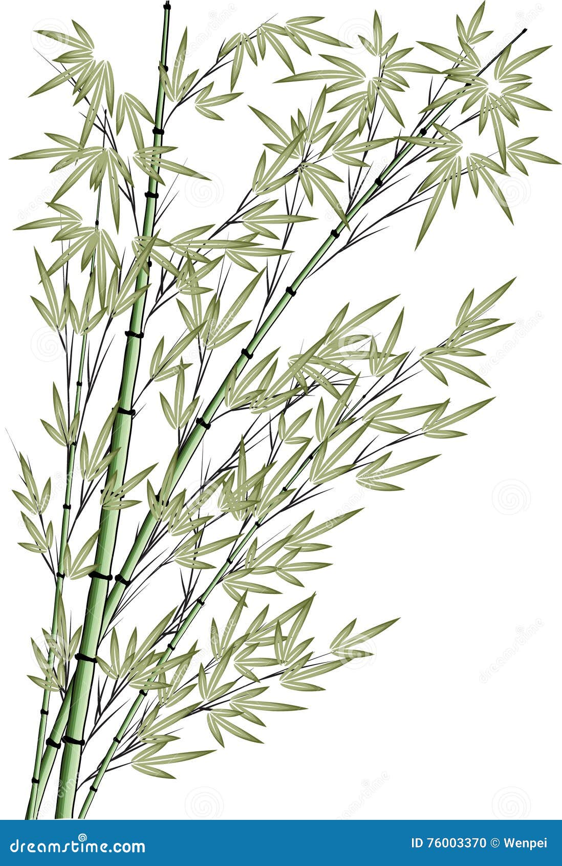 Featured image of post Bamboo Tree Drawing Bamboo tree drawing vectors and psd free download