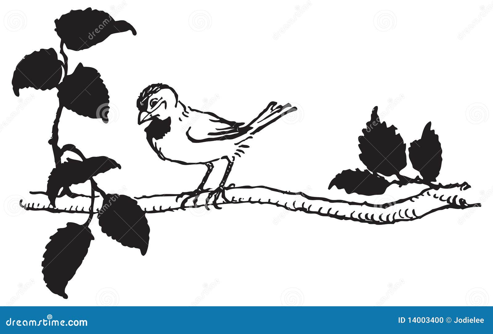  drawing of bird perched on tree branch