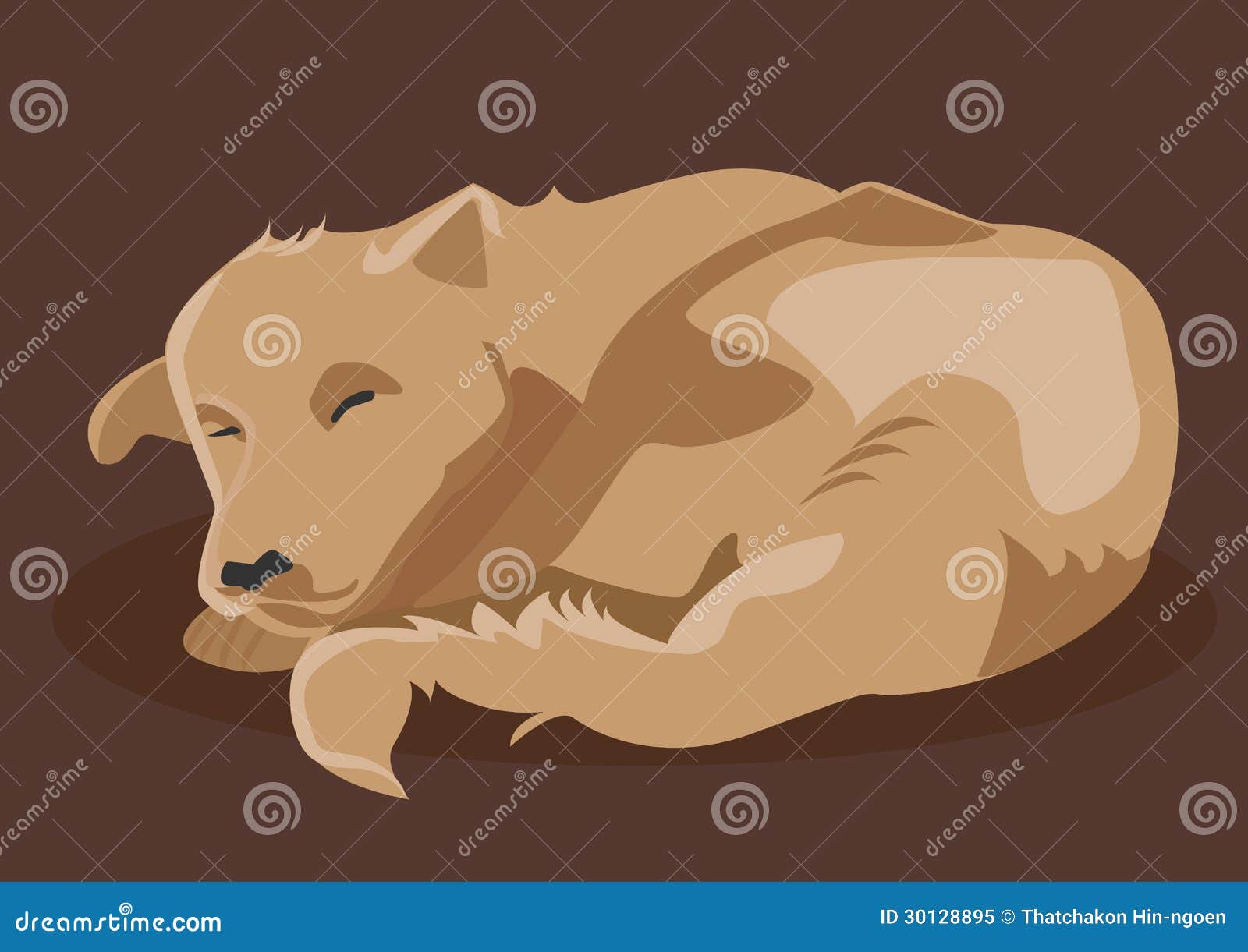 Brown dog sleeping stock vector. Illustration of spot 30128895