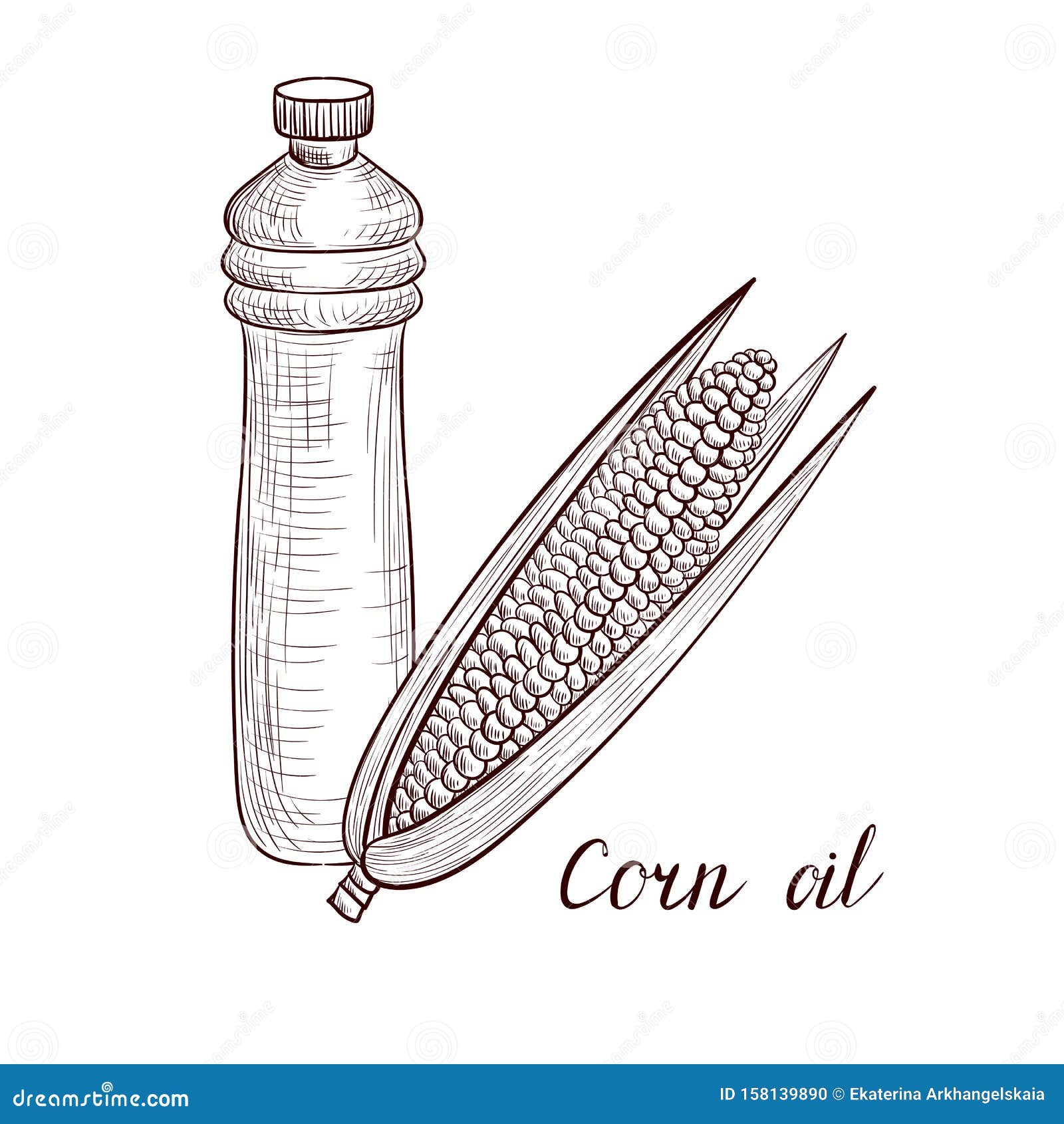 Vector drawing corn oil stock vector. Illustration of vector 158139890