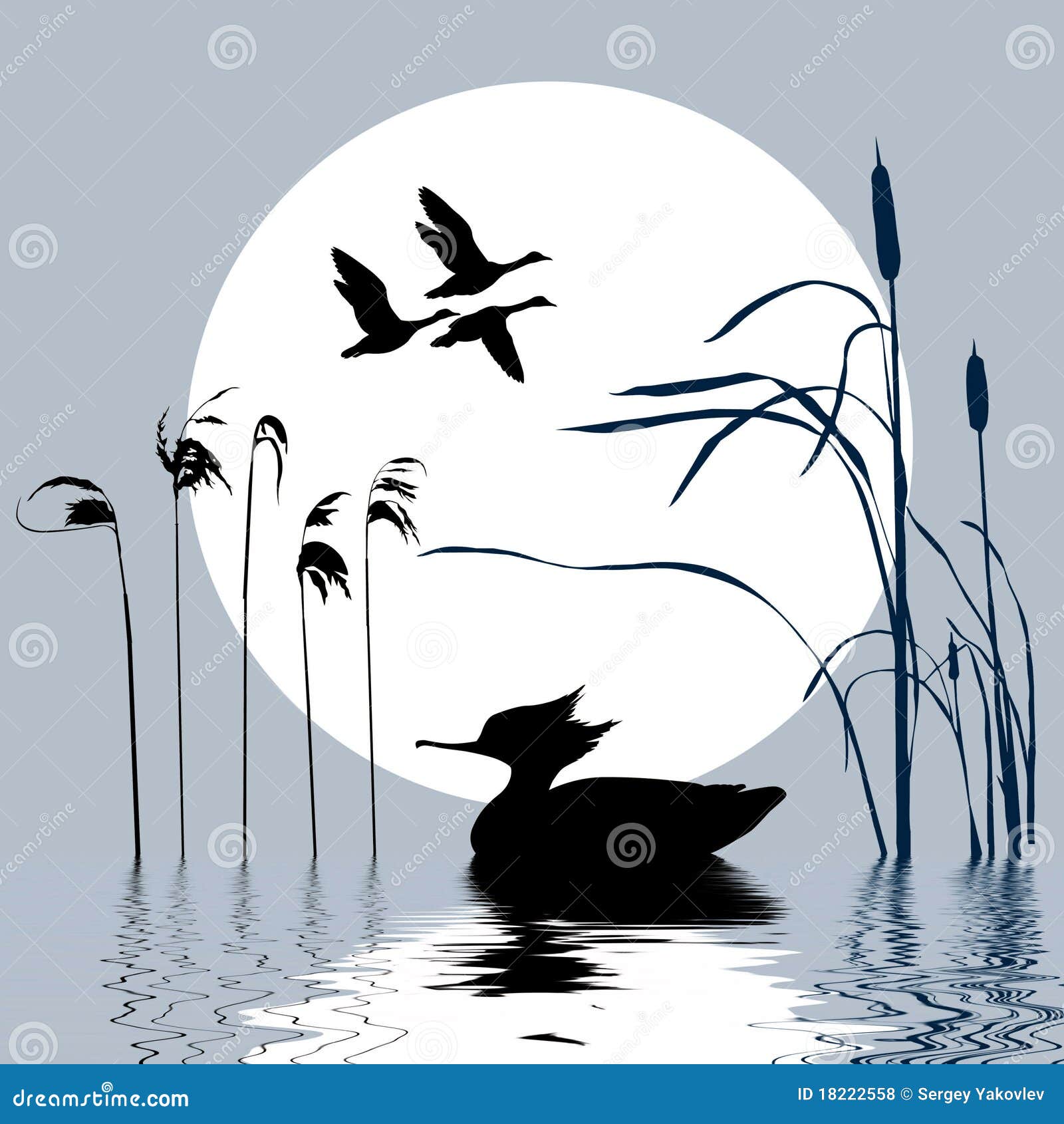 Drawing Pictures Of Birds Free Download | Max Installer