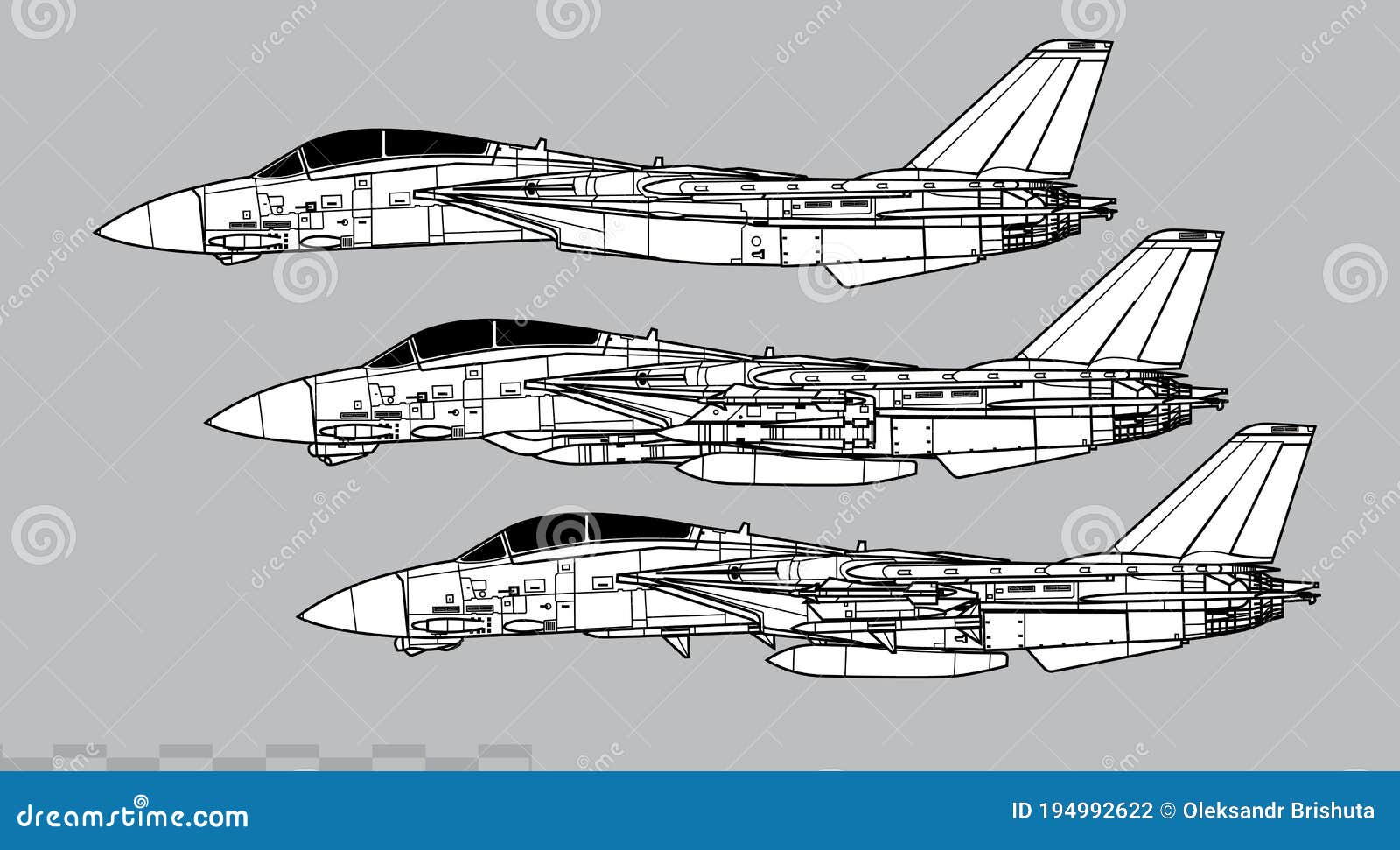 grumman f-14 tomcat.  drawing of navy supersonic interceptor.