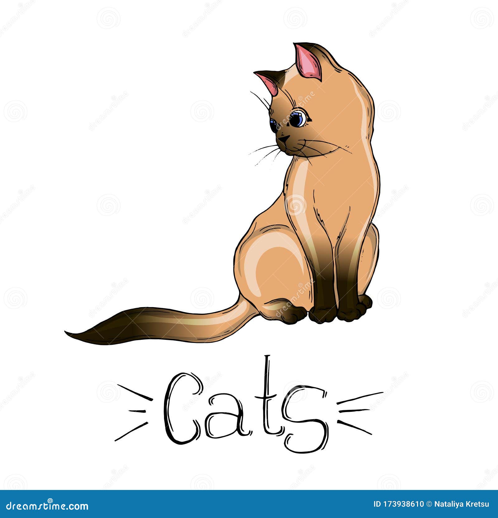 Vector Drawing of a Siamese Cat. Cartoon Cat Stock Vector
