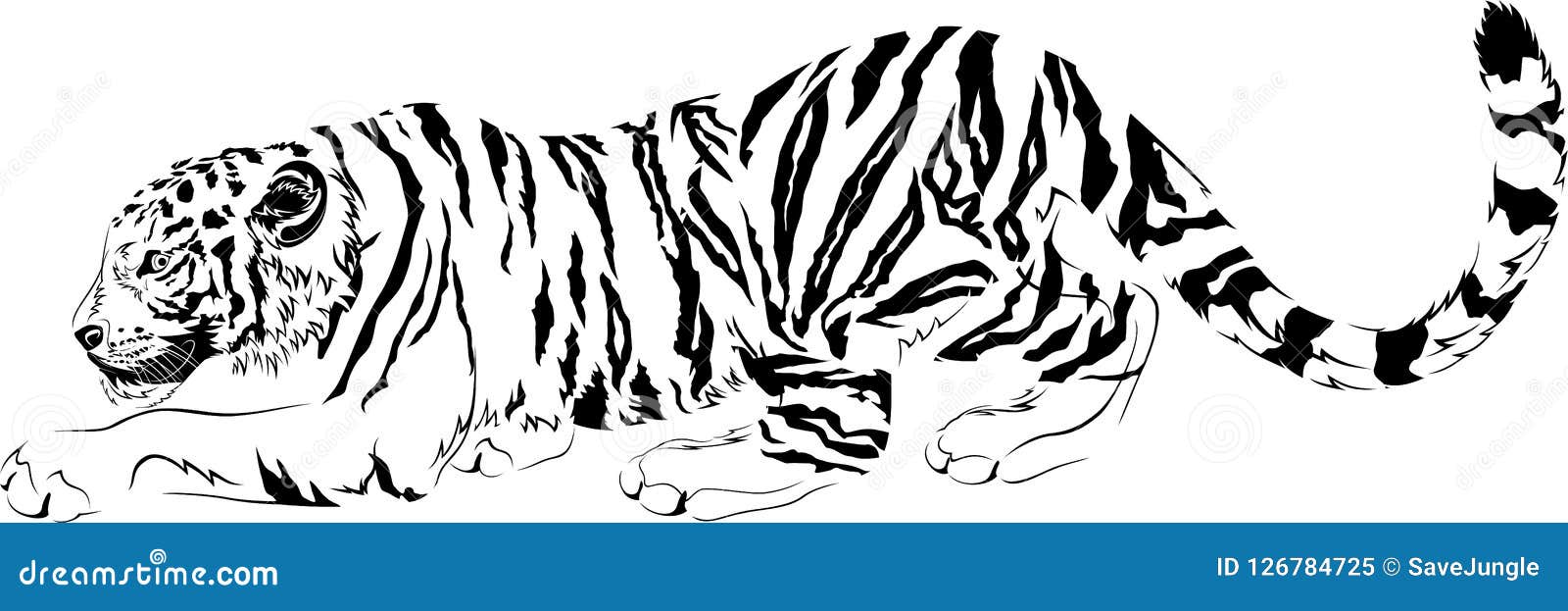  drawings black and white predator tiger e