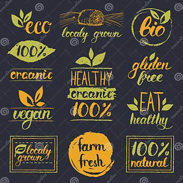 Vector Eco,organic,bio Logo Cards Templates. Handwritten Healthy Eat ...