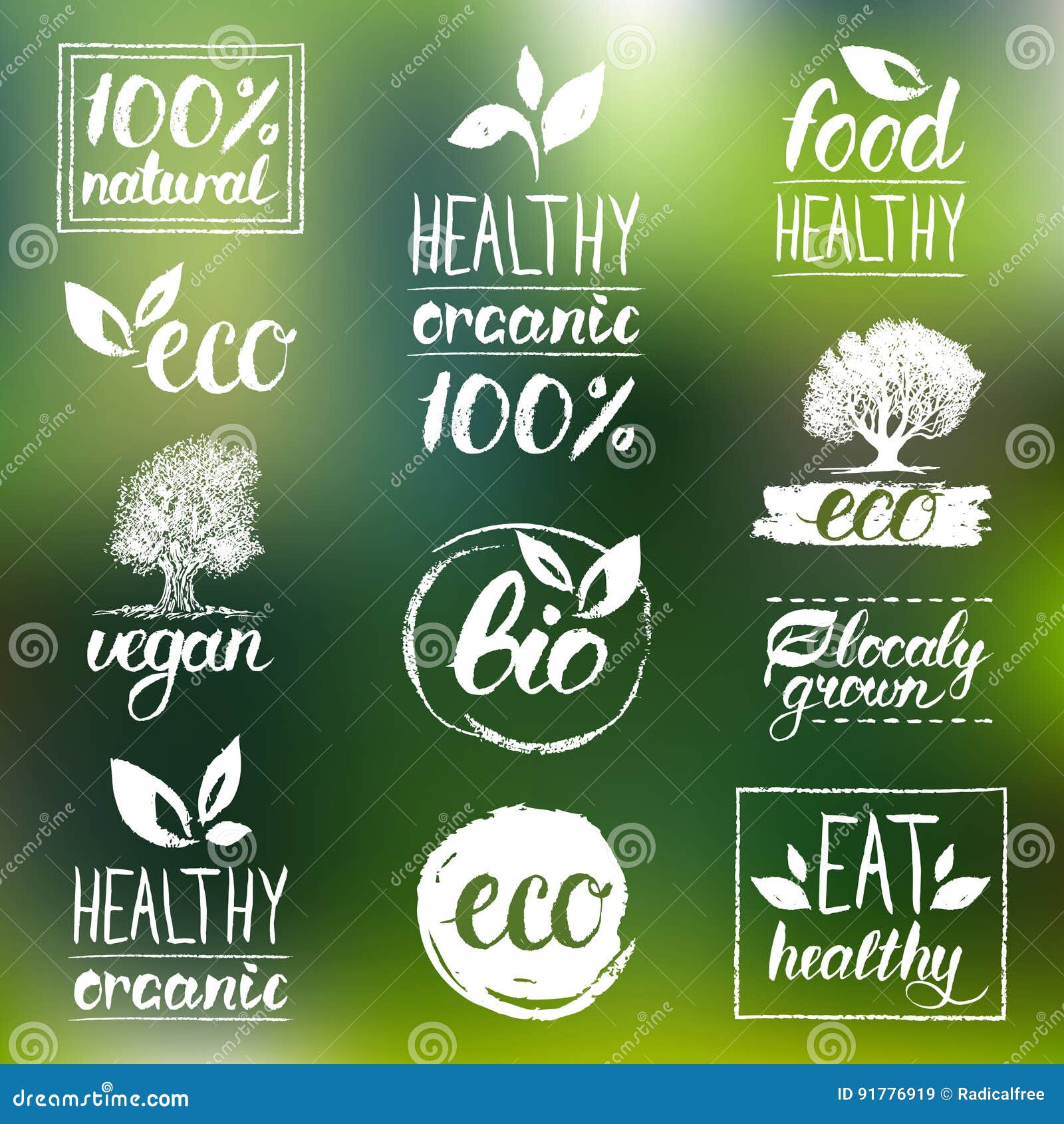 Vector Eco, Organic, Bio Logos. Handwritten Healthy Eat Logotypes Set ...
