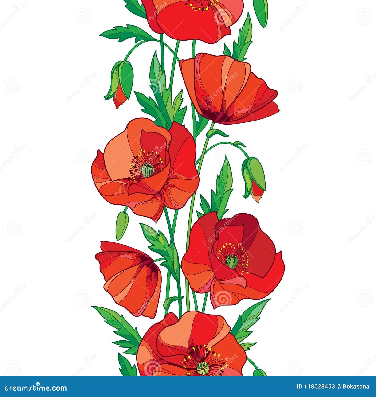 Red rose flower, vector illustration on isolated white Stock Photo - Alamy