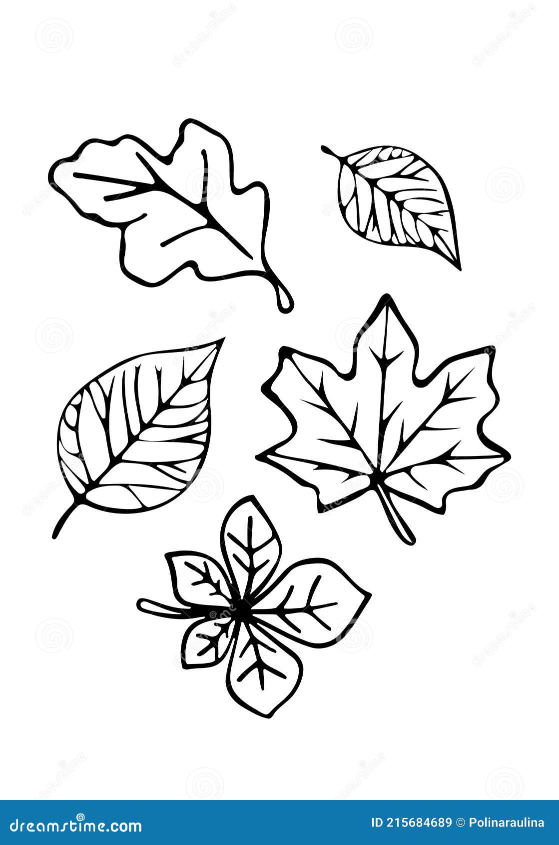 Autumn leaf notepad sketch Royalty Free Vector Image