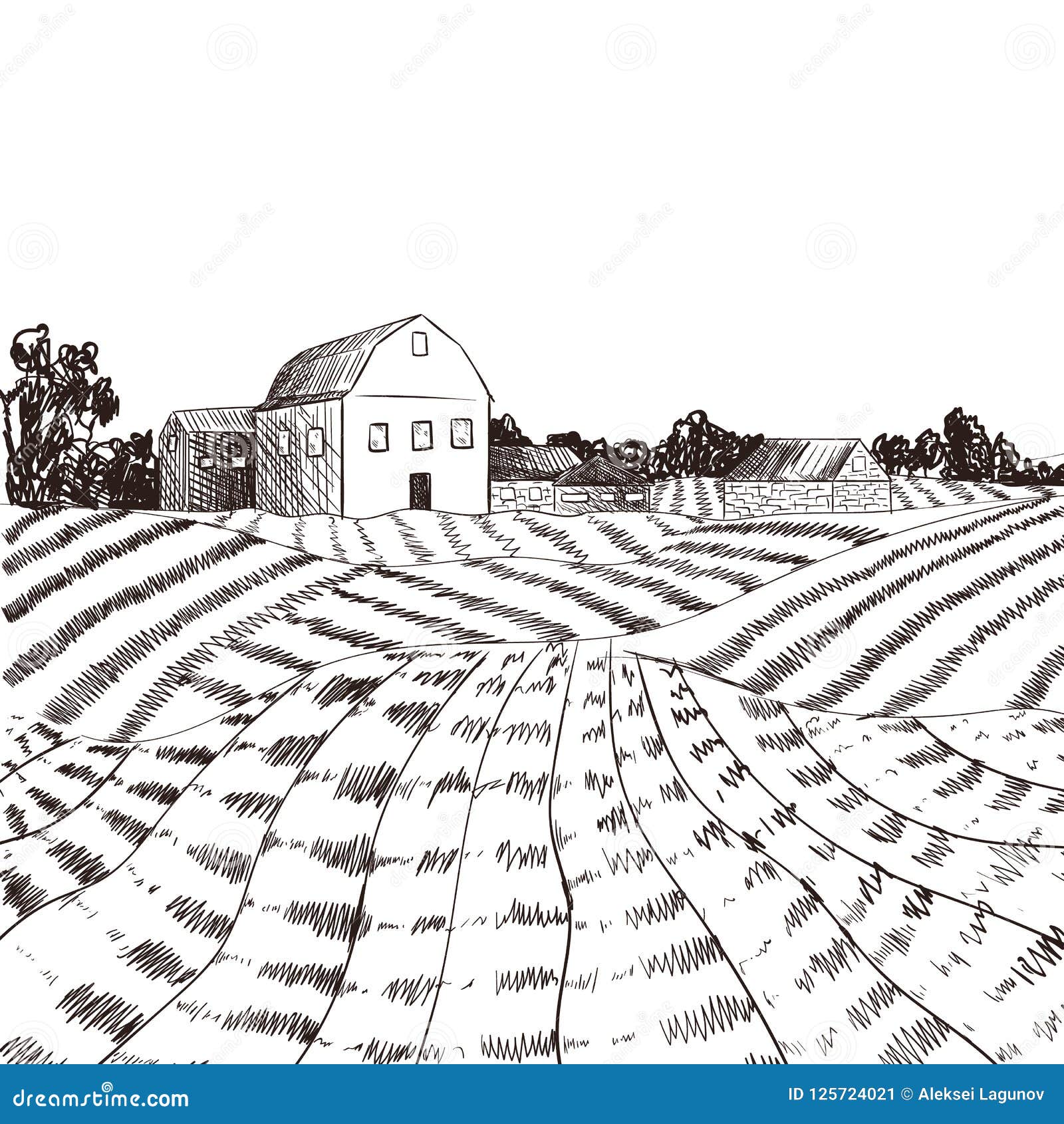 Vector Farm Engraved Style Drawing, Black Lines On White Background