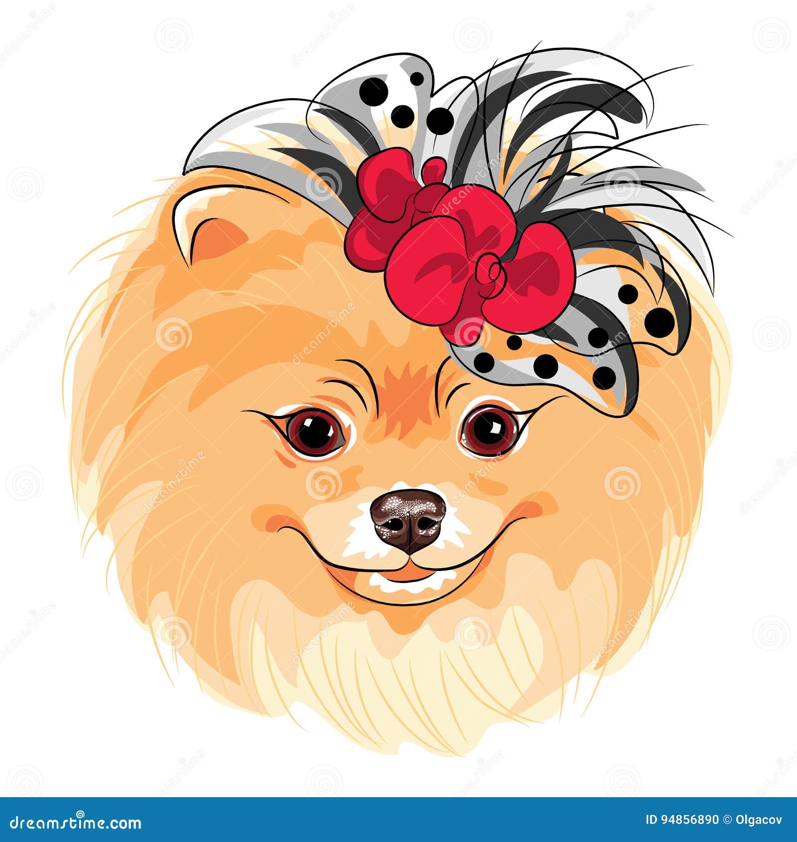 Vector Fashion Dog Pomeranian Breed Smiling Stock Vector - Illustration