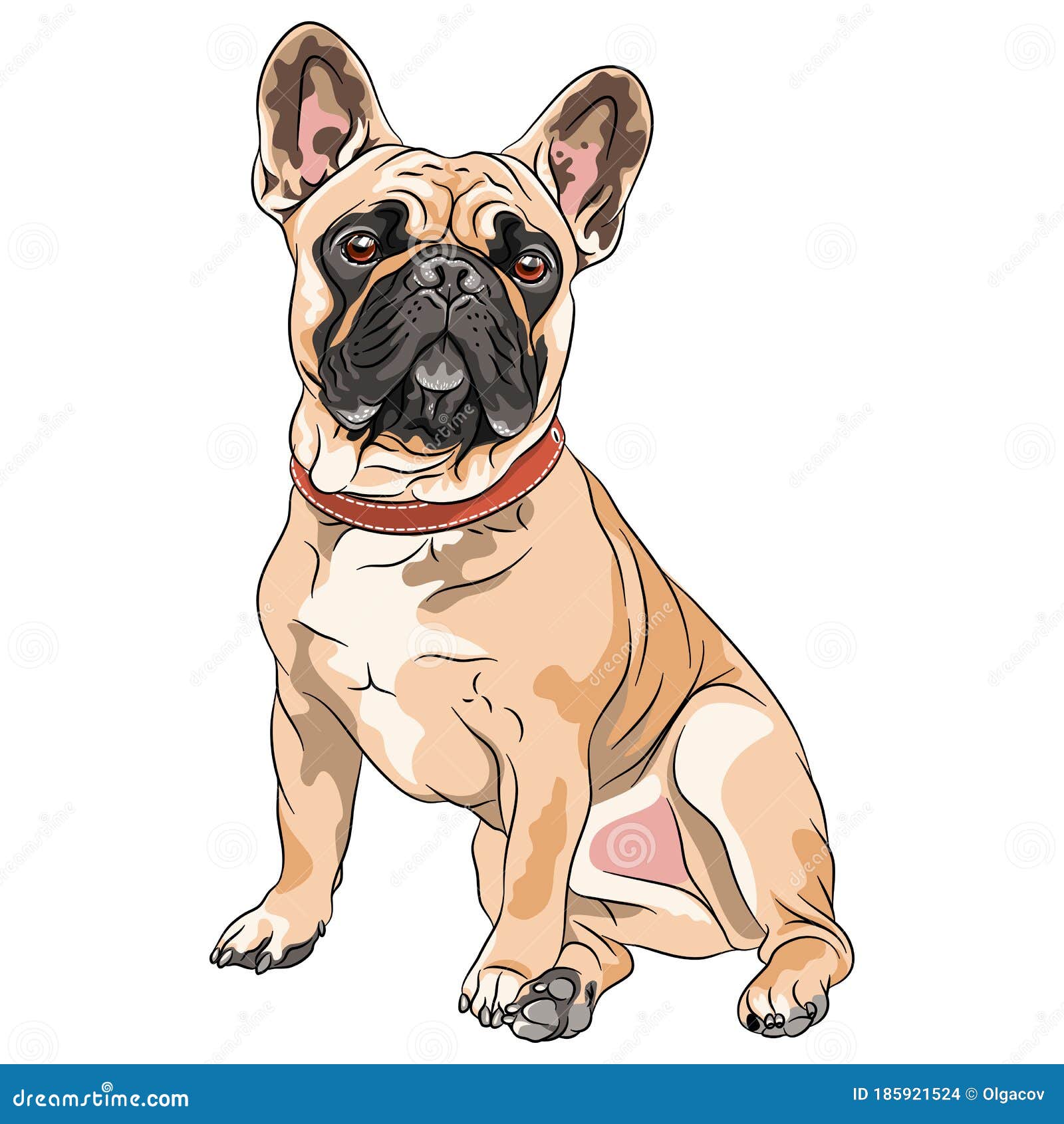 Vector Fawn Dog French Bulldog Stock Vector - Illustration of body ...