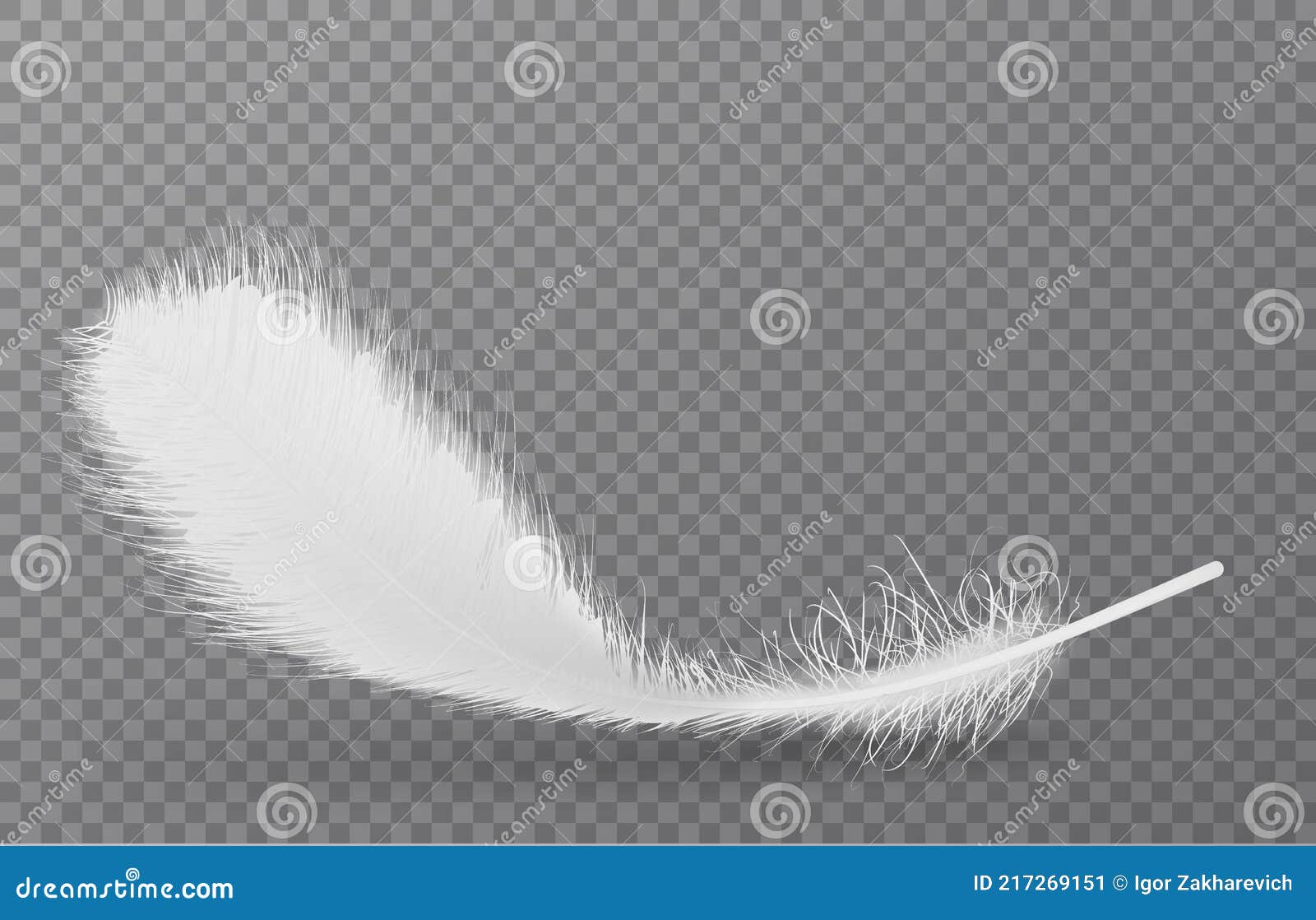 Colored bird feathers isolated on the alpha Vector Image