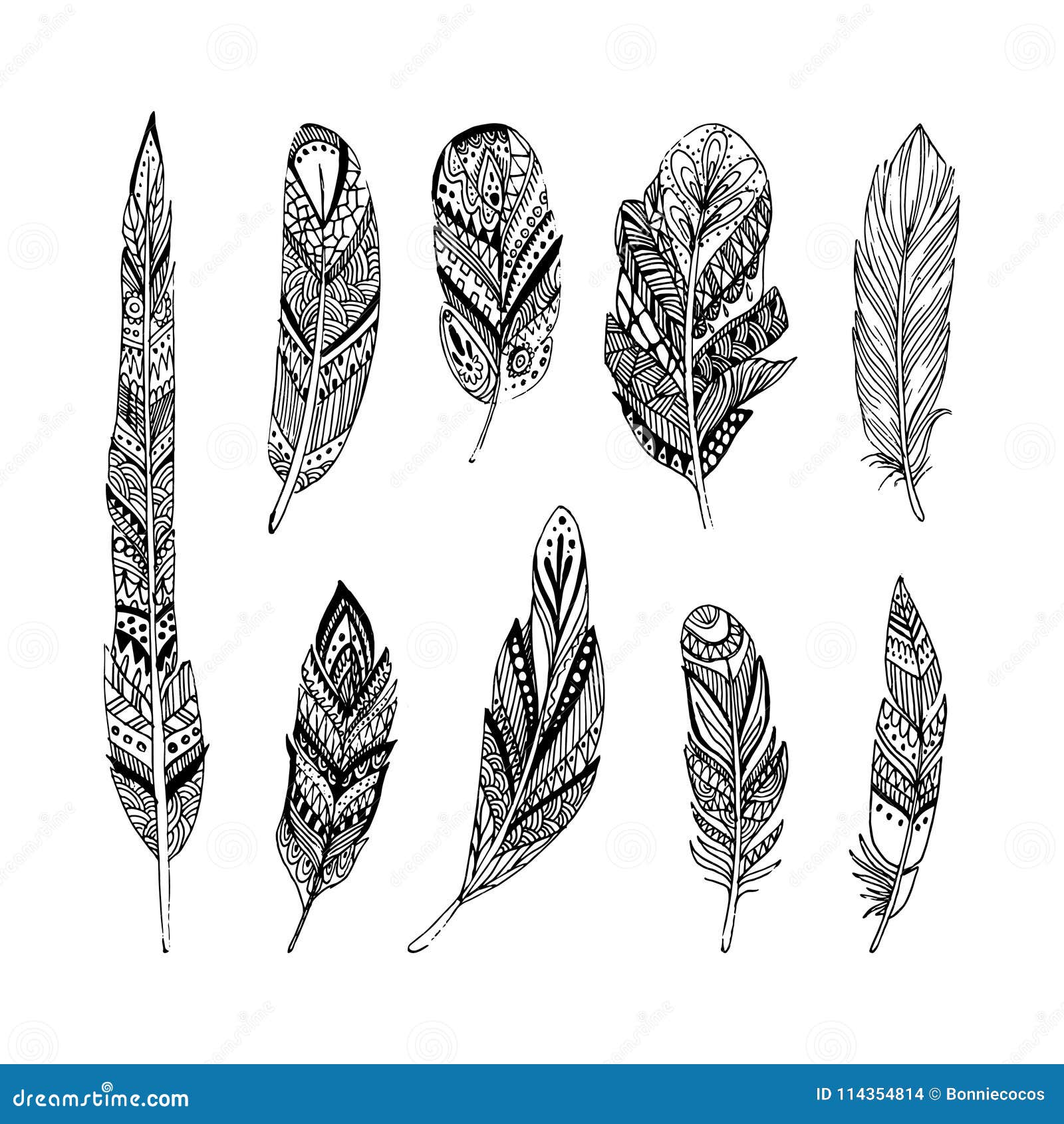 Hand Drawn Vector Feathers in Boho Style. Isolated on White Background ...