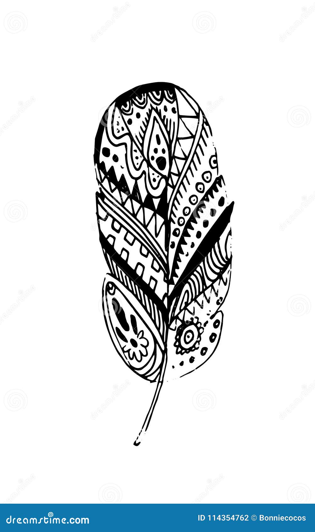 Hand Drawn Vector Feathers in Boho Style. Isolated on White Background ...