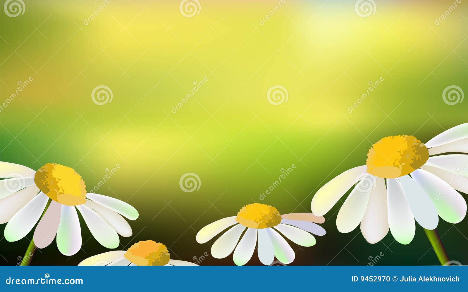 Vector Field Of The Flowersdaisies 9452970