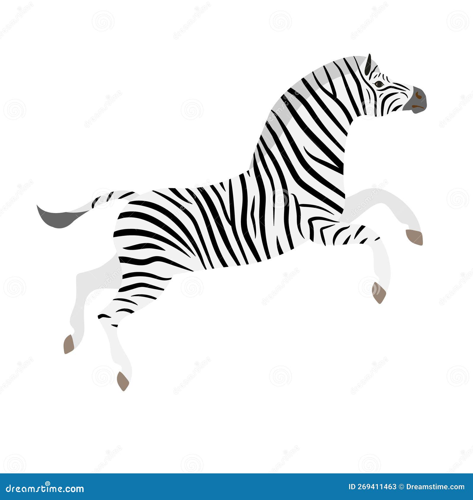 Vector Flat Hand Drawn Jumping Zebra Stock Vector Illustration of