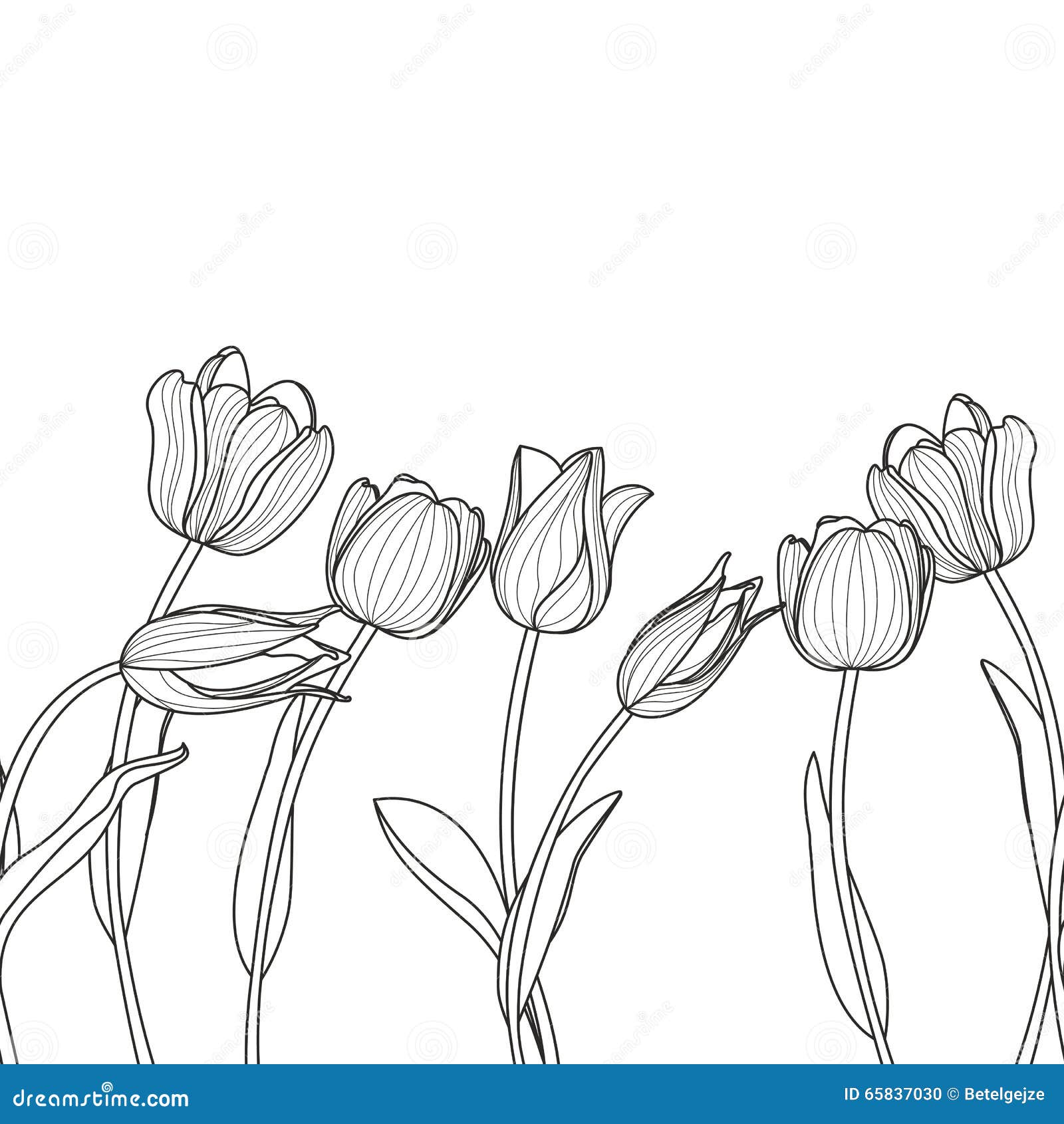  floral seamless horizontal pattern. black and white elegant background with hand drawn tulip flowers.