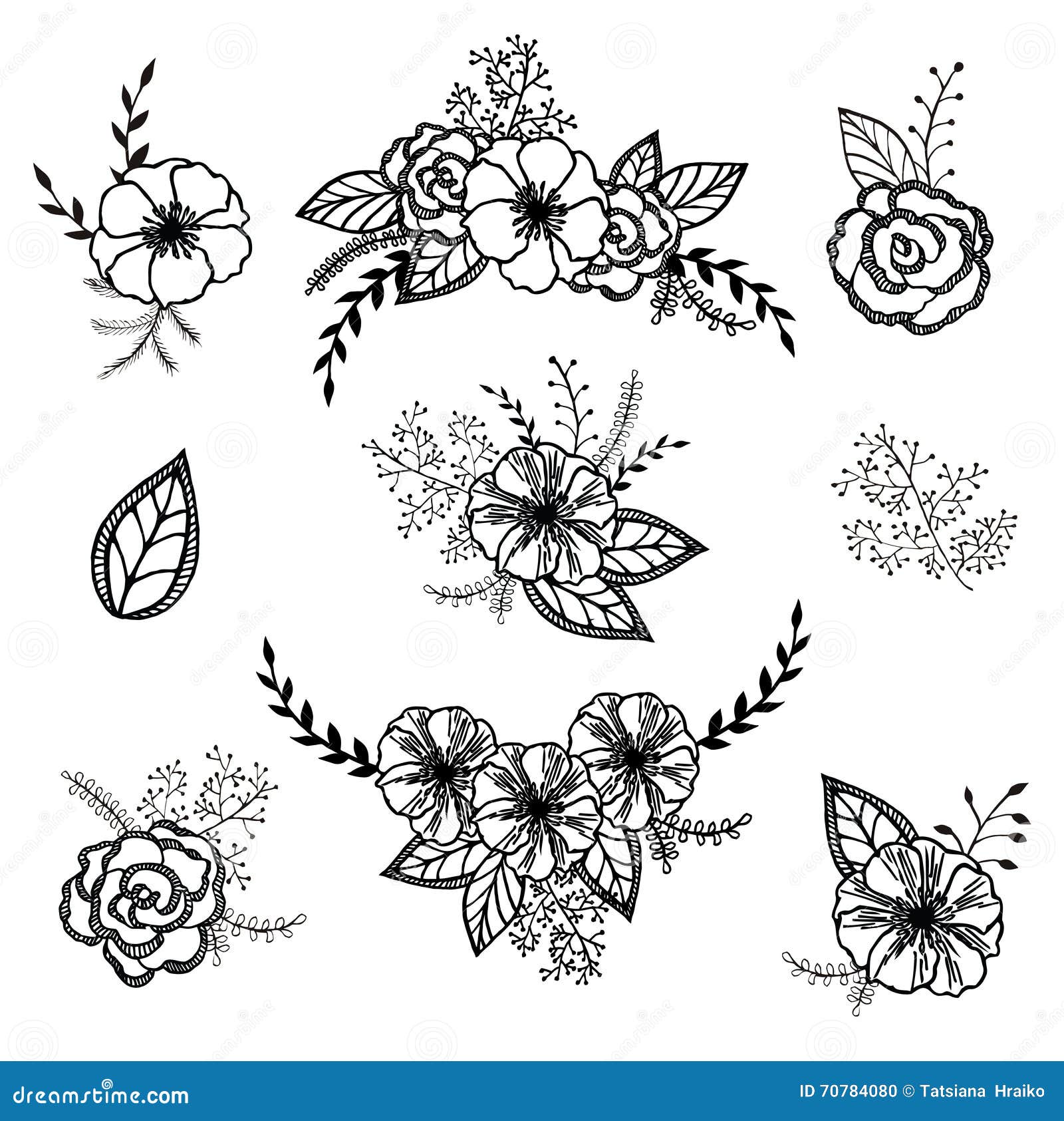 Vector Floral Set. Graphic Collection with Leaves and Flowers, Drawing ...