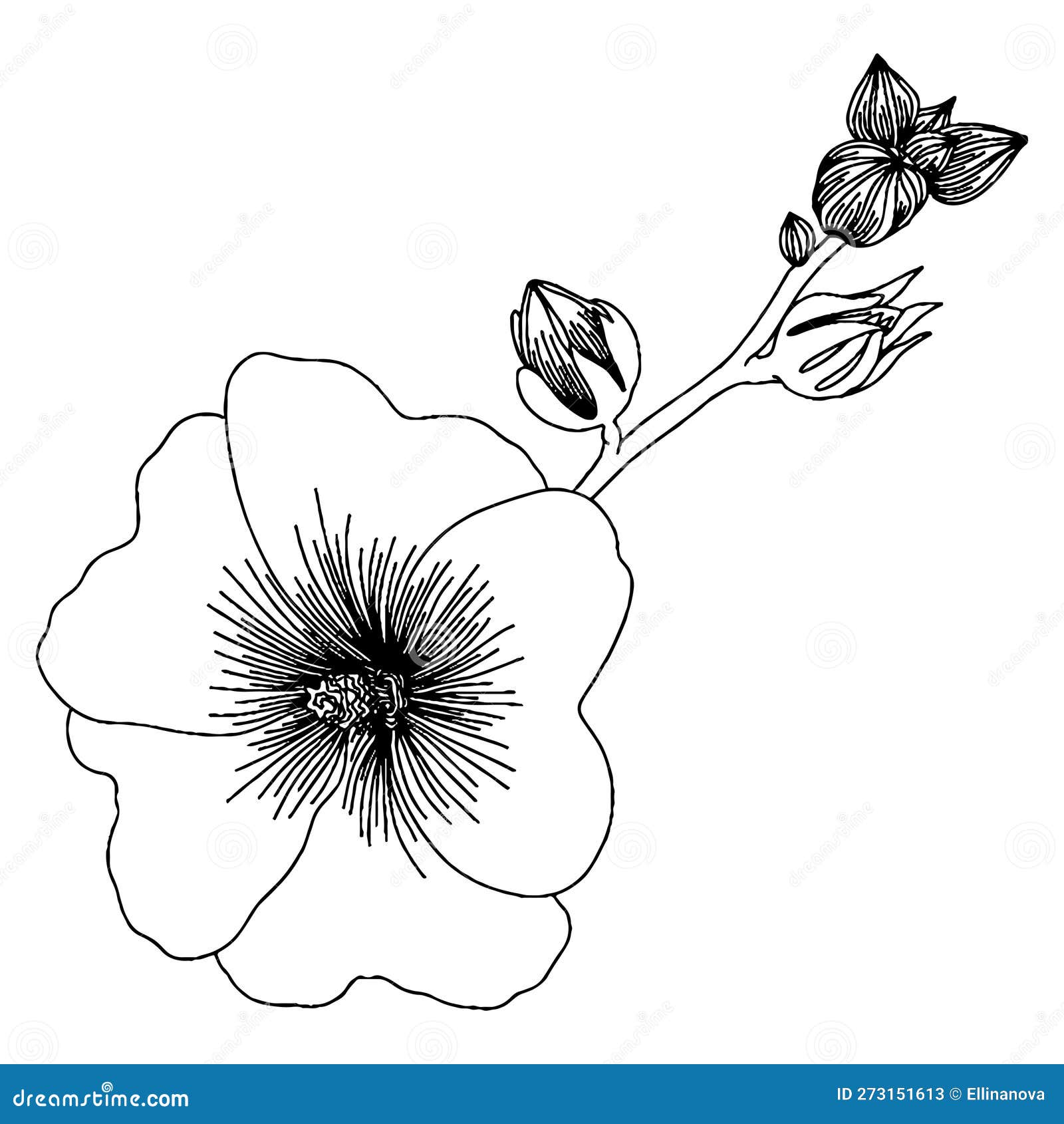 Vector Flower for Coloring Book or Page Stock Vector - Illustration of ...