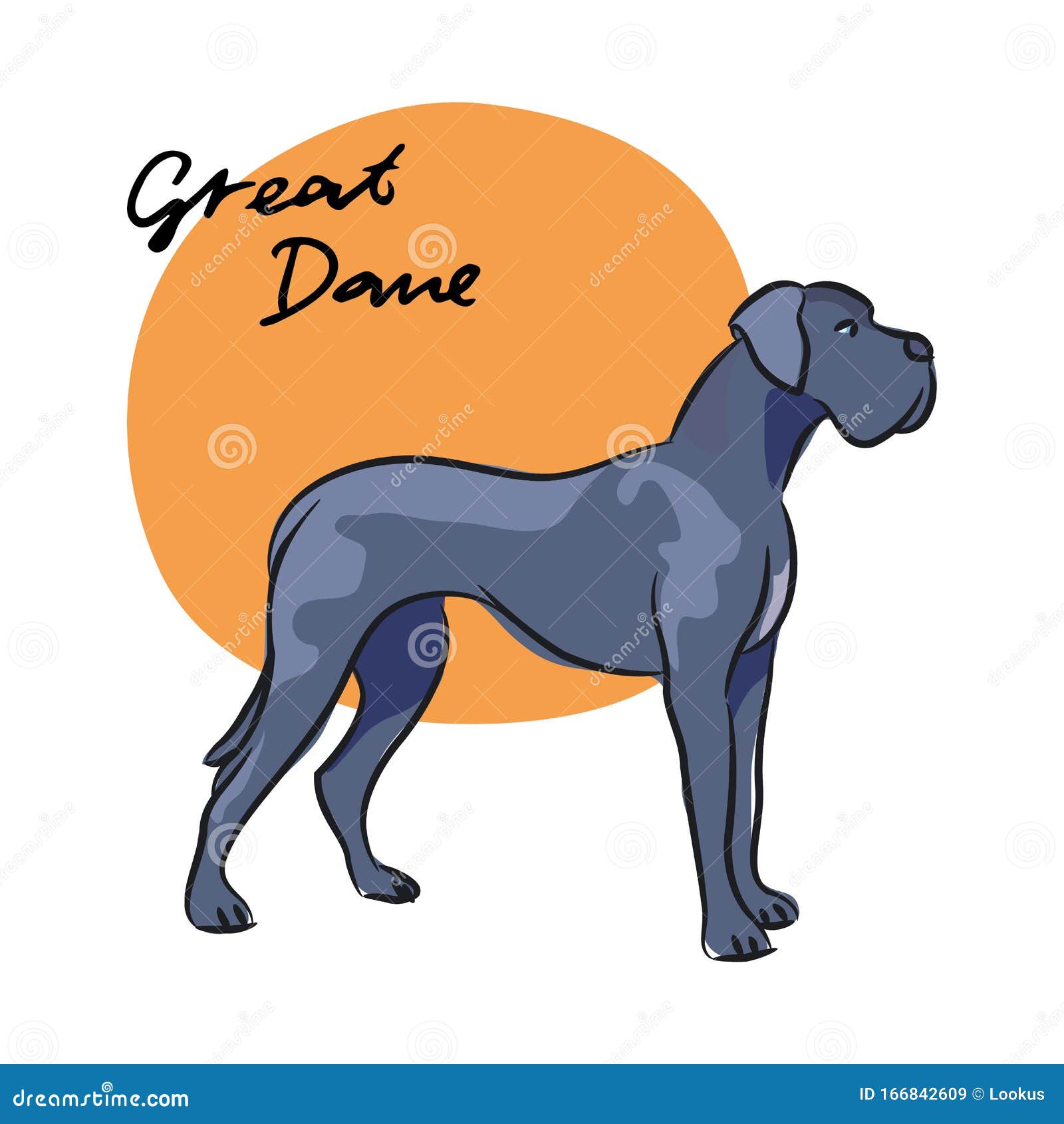 great dane,  