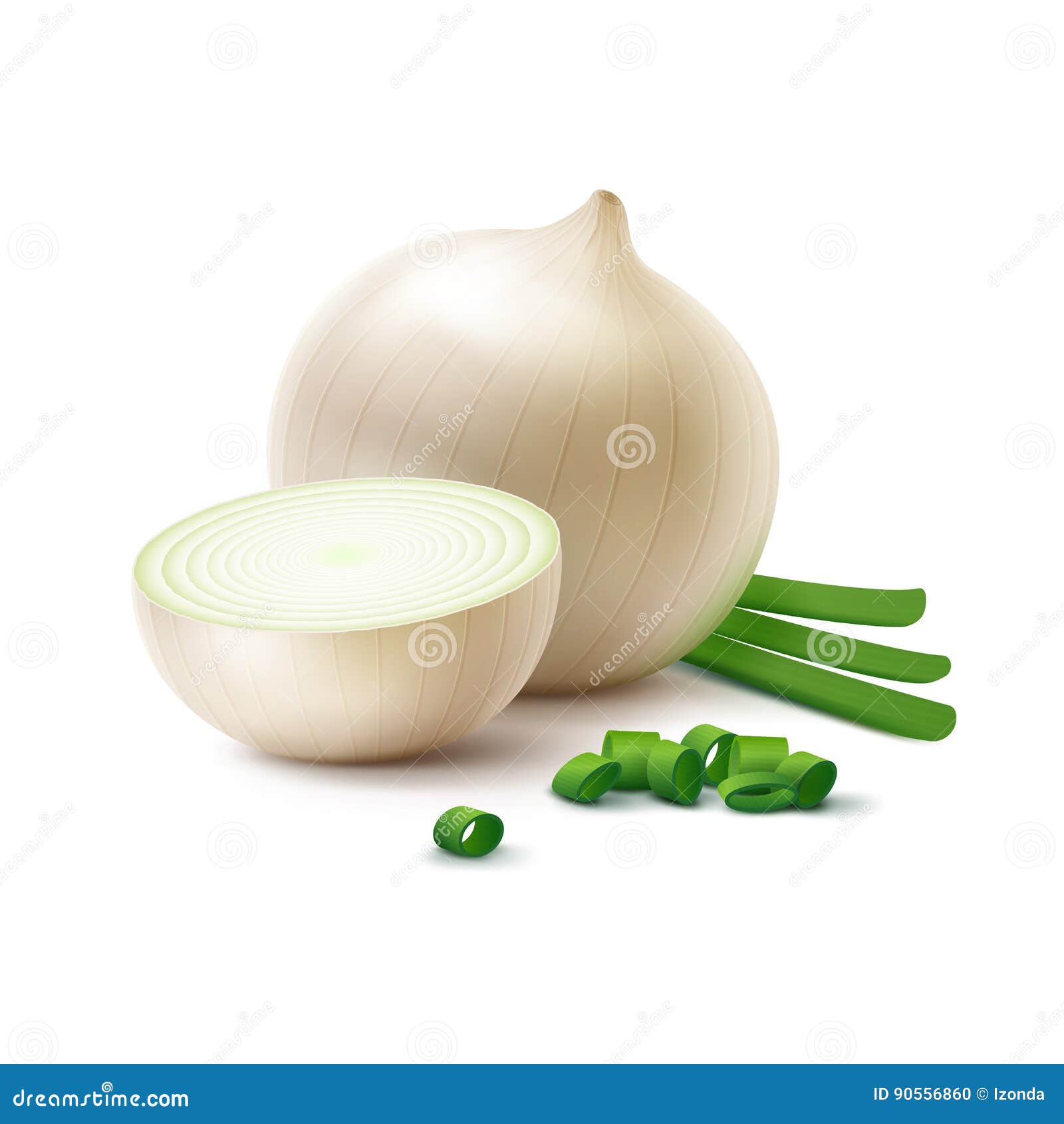 https://thumbs.dreamstime.com/z/vector-fresh-whole-sliced-white-onion-bulbs-chopped-green-onions-isolated-white-background-close-up-90556860.jpg