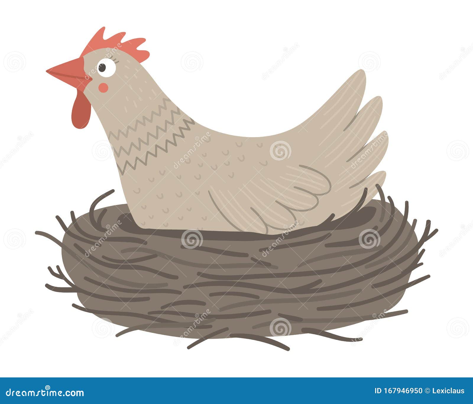  funny hen in nest  on white background. spring, easter or farm funny 