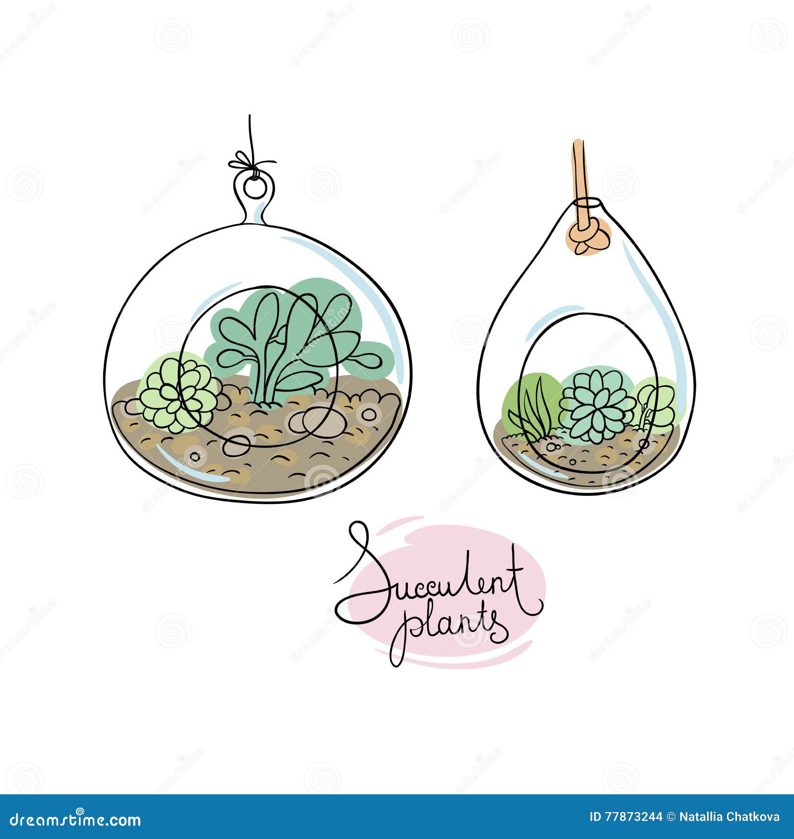 Vector Glass Terrariums with Succulents Set. Stock Vector