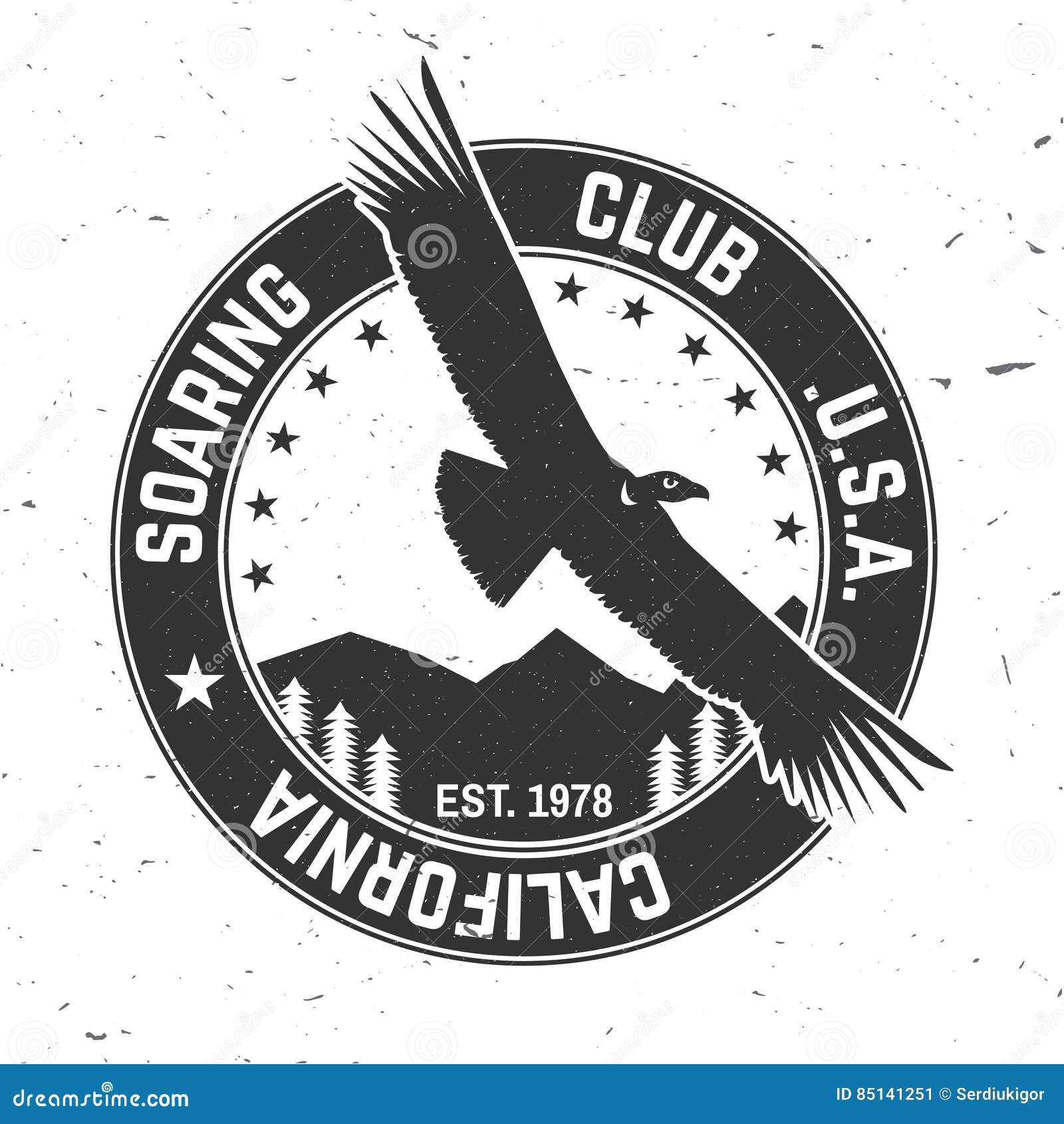  gliding club retro badge.