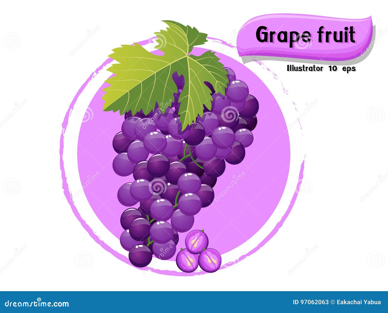 Vector Grape Fruit Isolated on Color Background,illustrator 10 Eps