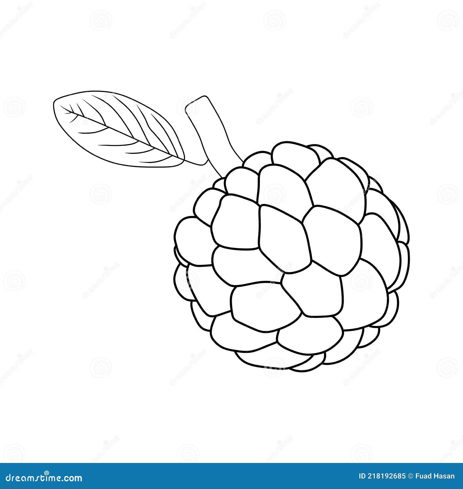 Vector Graphic of Sugar Apple Fruit Stock Vector - Illustration of ...