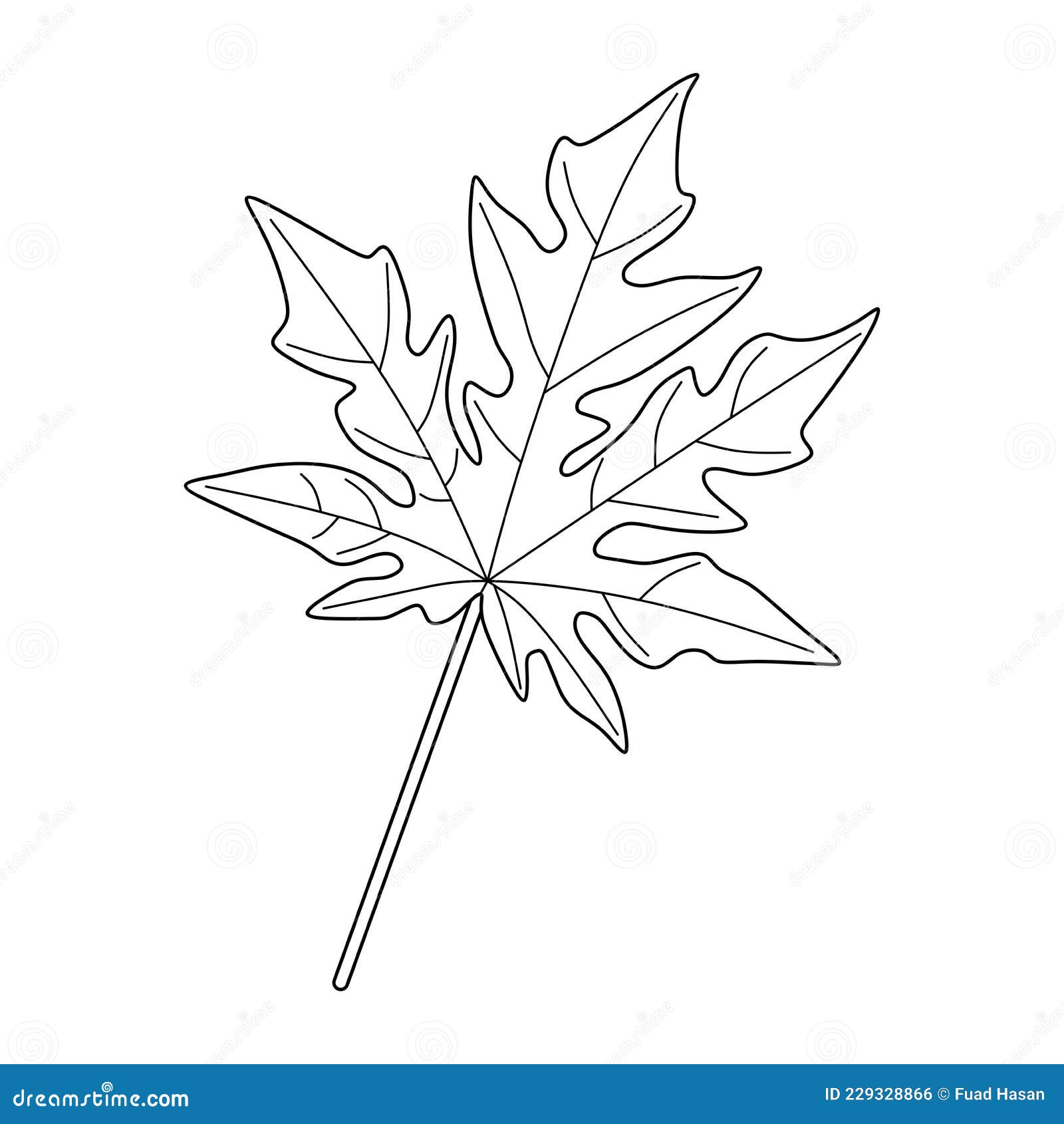 Vector Graphics of Papaya Leaves Stock Vector - Illustration of herbal