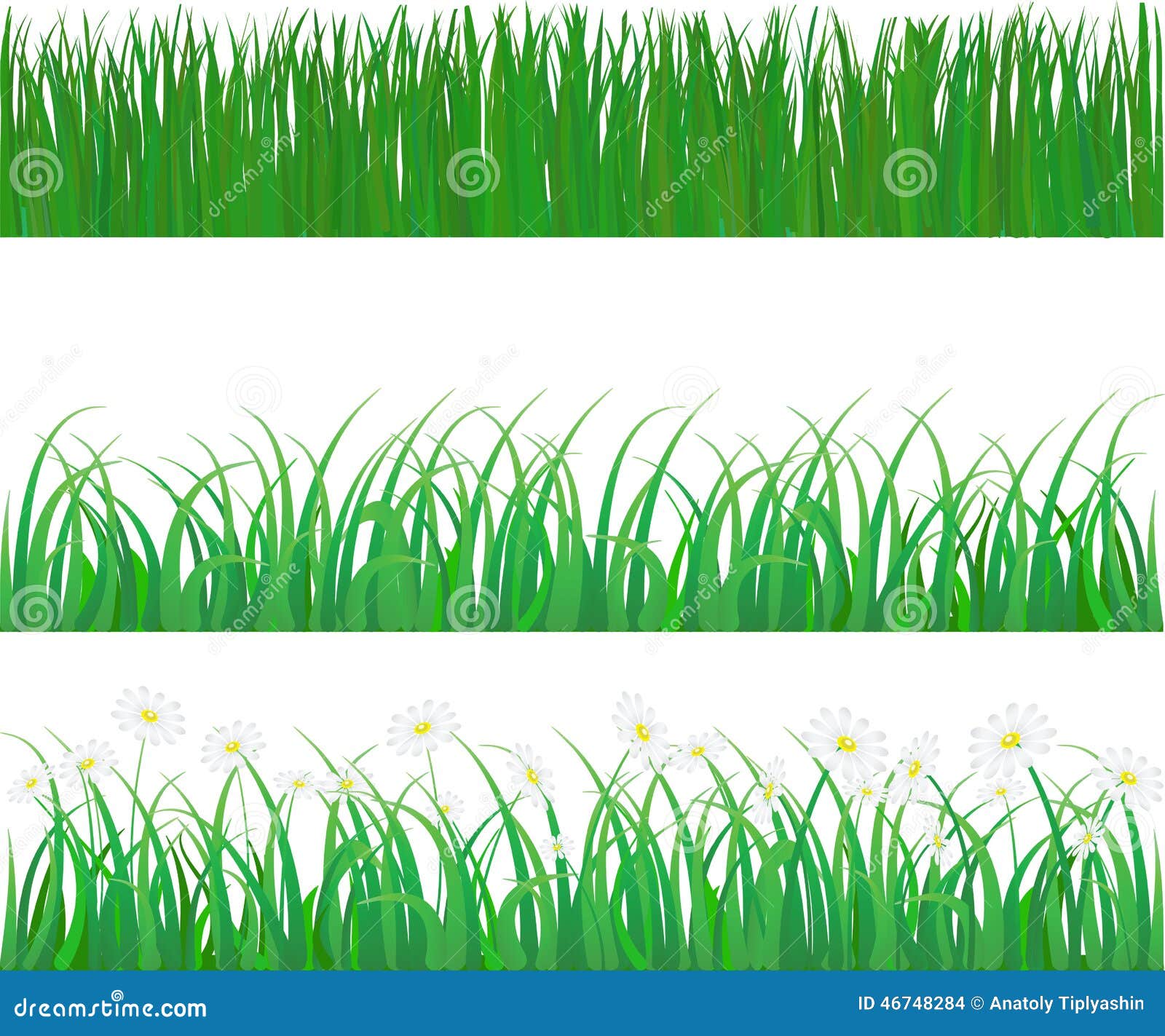 Vector grass and flower stock vector. Illustration of green 46748284