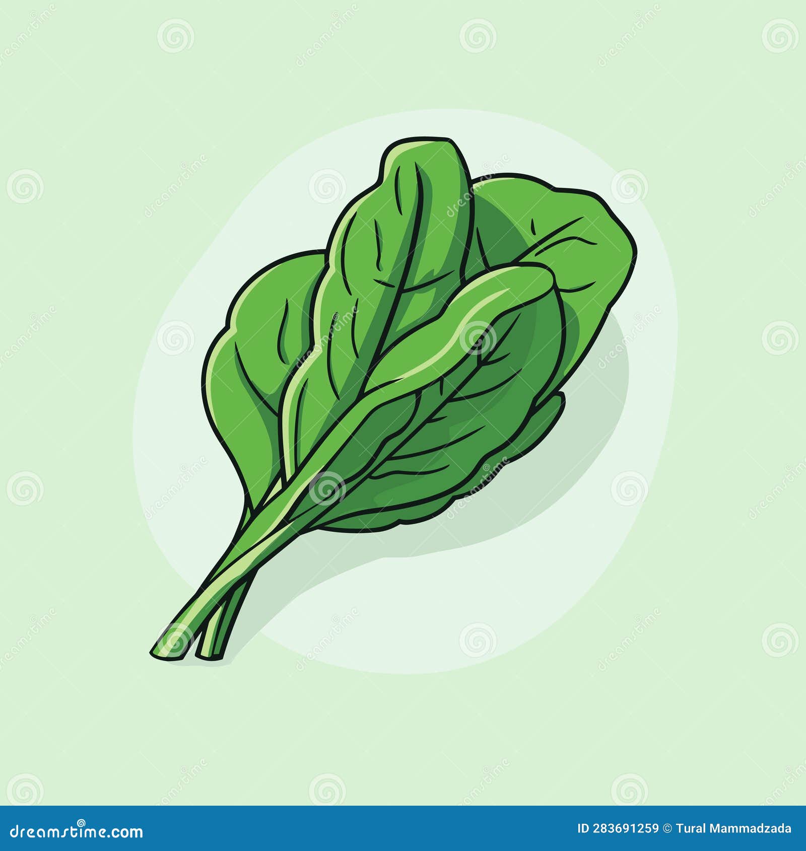 Vector of a Green Leafy Vegetable on a Light Green Background Stock Vector Illustration of