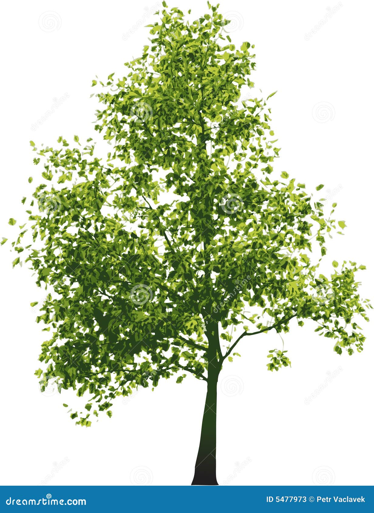 Vector green tree stock vector. Illustration of ground - 5477973