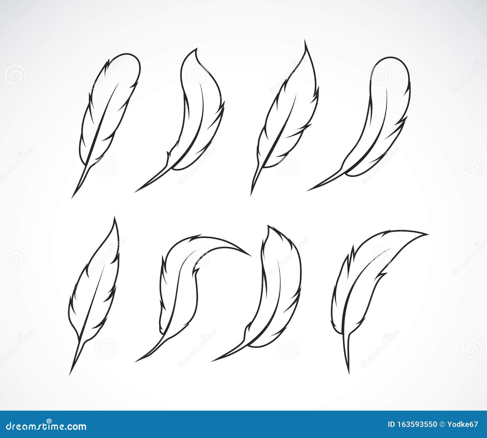 Download Vector Group Of Feather On White Background. Easy Editable ...