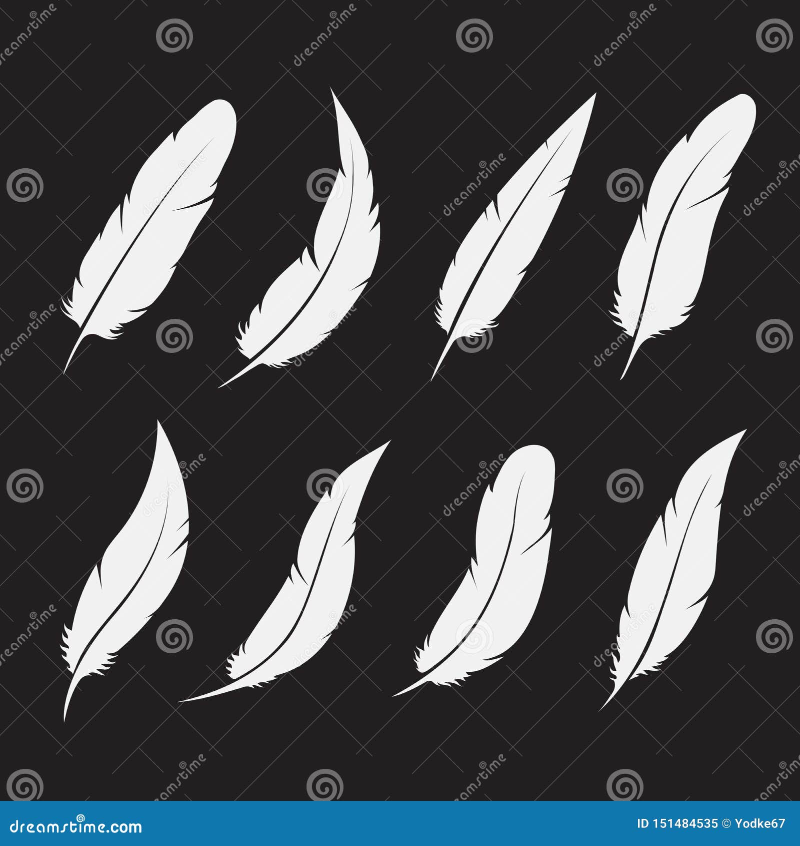 Download Vector Group Of White Feather On White Background. Easy ...