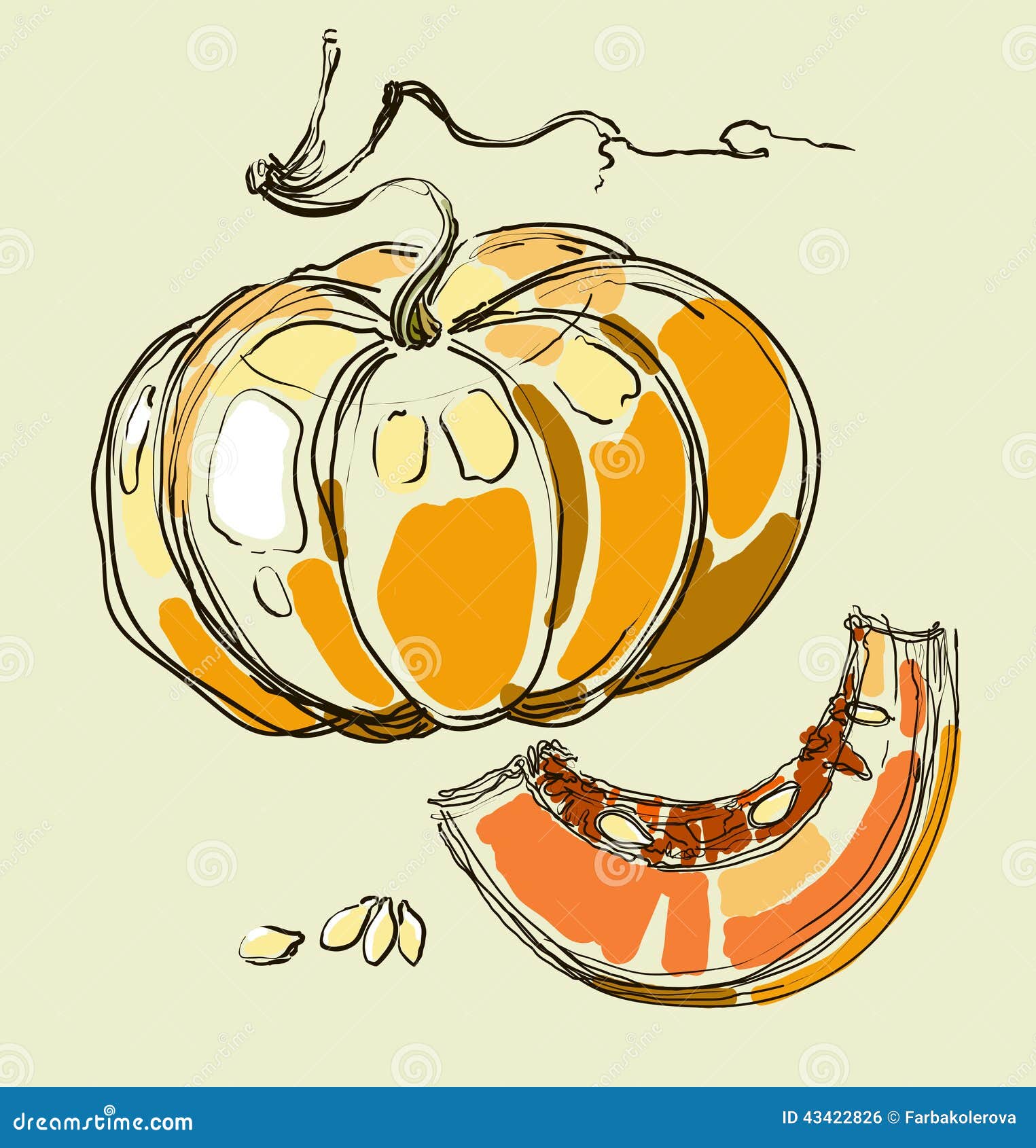 Vector Hand Drawing Juicy Melons Stock Illustration Illustration of