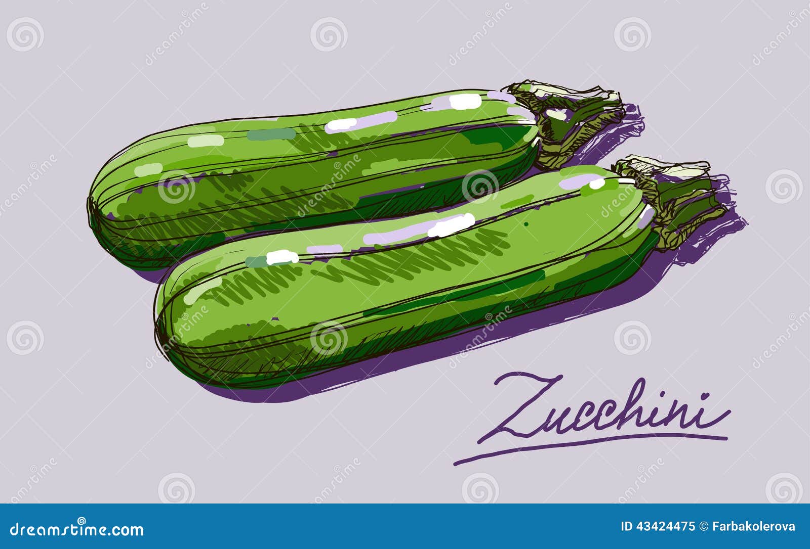 Vector Hand Drawing Realistic Juicy Zucchini Stock Illustration