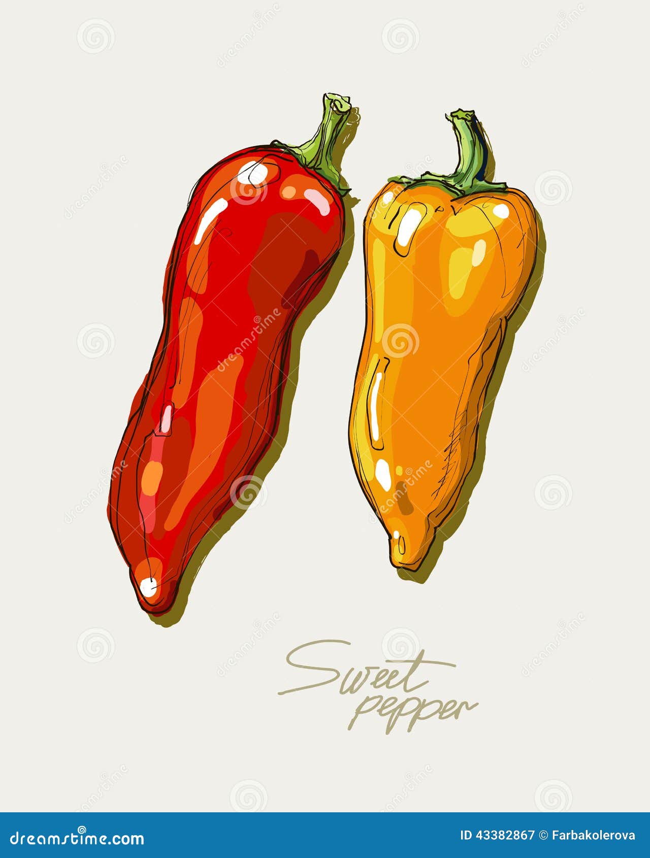 Vector Hand Drawing Red Hot Peppers Stock Illustration Illustration