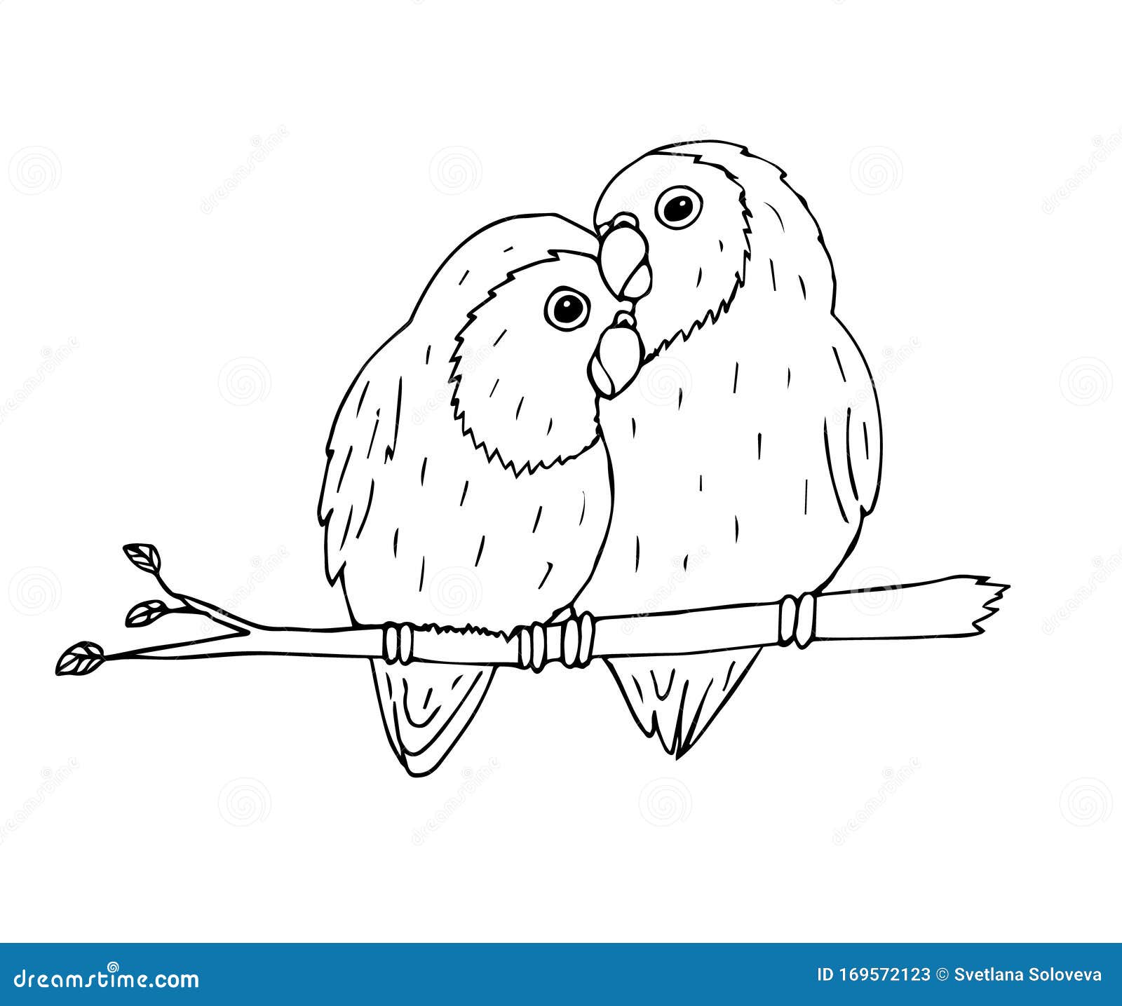  hand drawn black lovebirds parrots pair