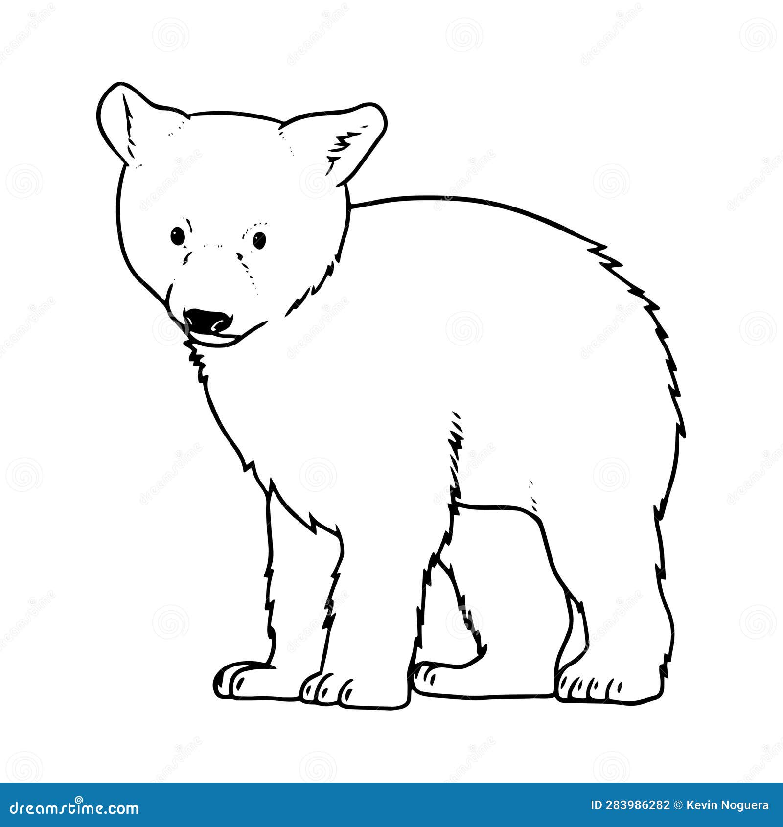 Vector Hand Drawn Brown Bear Cub Outline Illustration Stock Vector - Illustration of hand ...