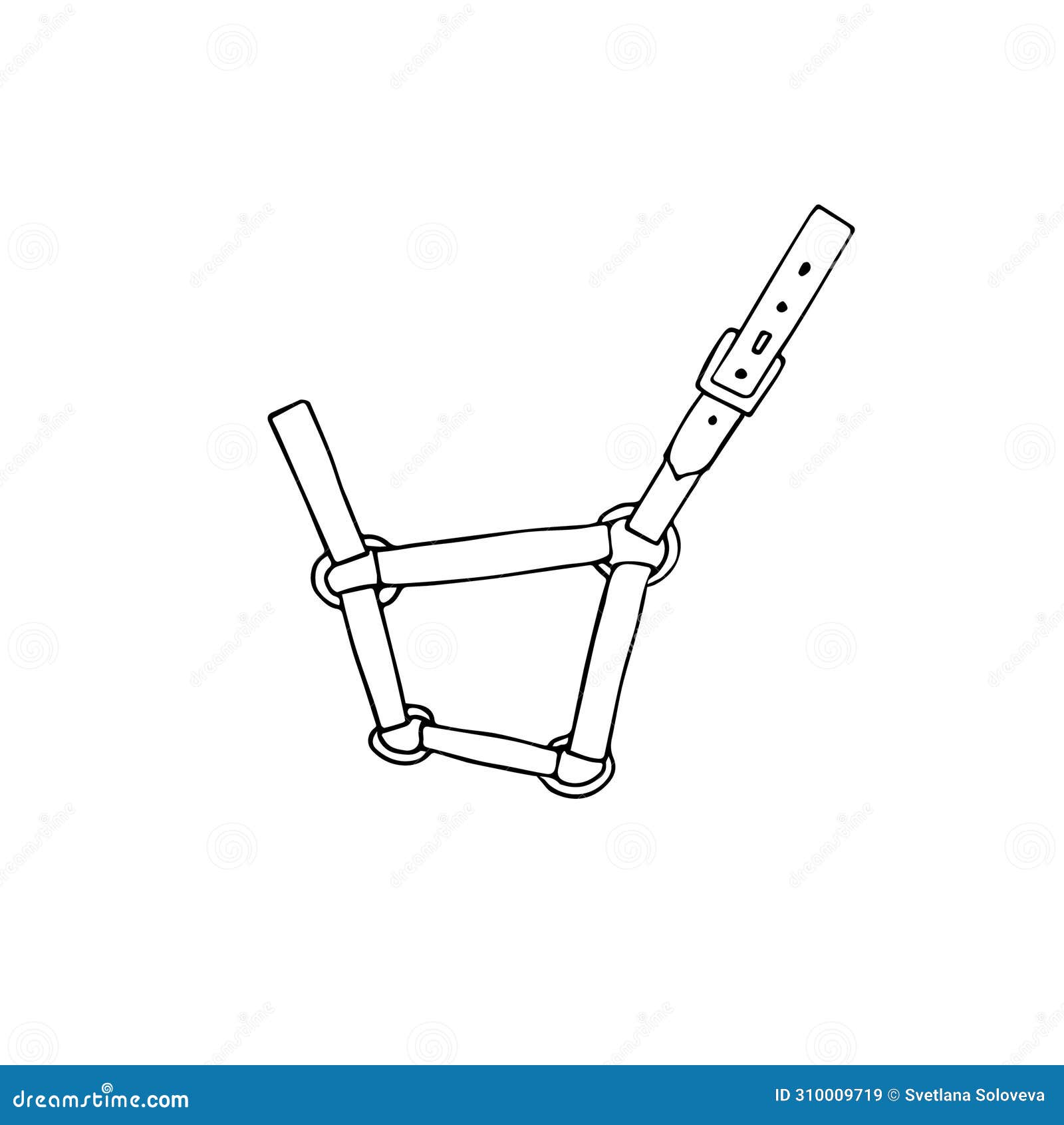 Horse Halter Parts. Infographic Banner With Detailed Names. Stable