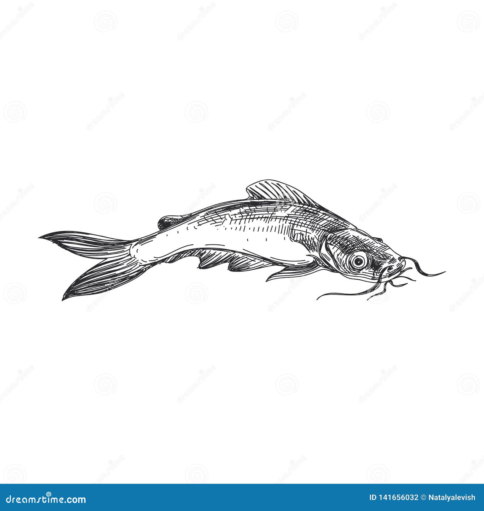  hand drawn lavender fish .