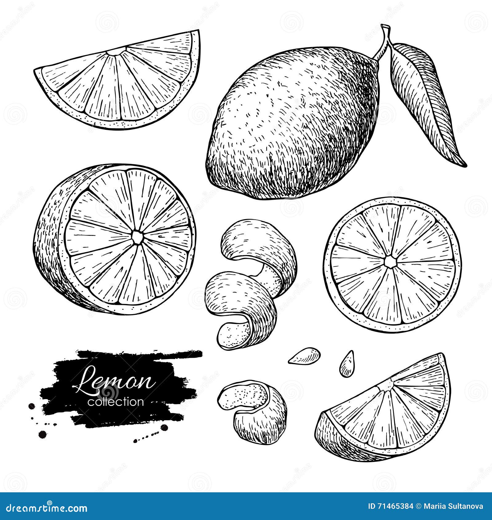  hand drawn lime or lemon set.