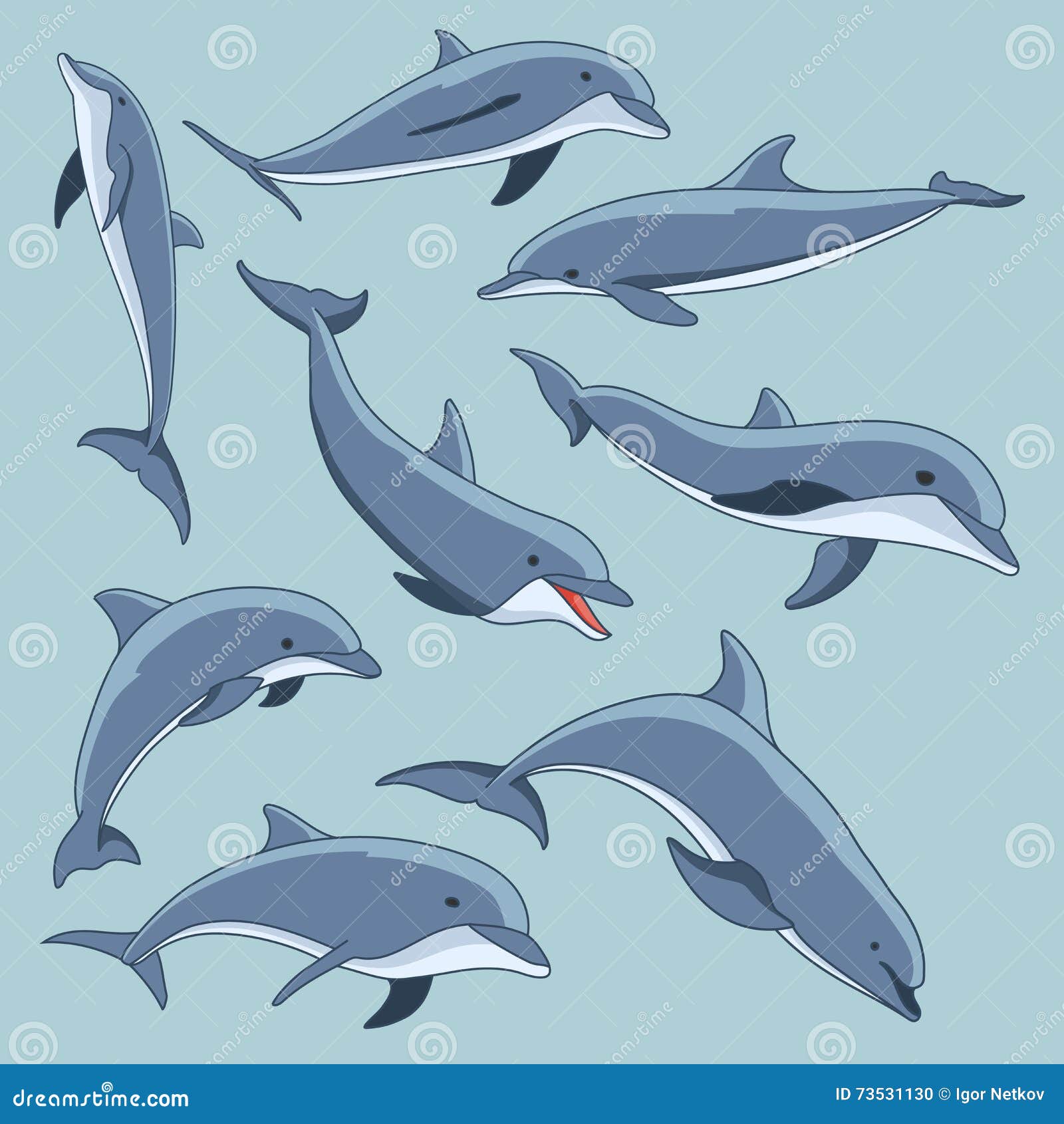 Vector Hand Drawn Set of Dolphins Stock Vector Illustration of
