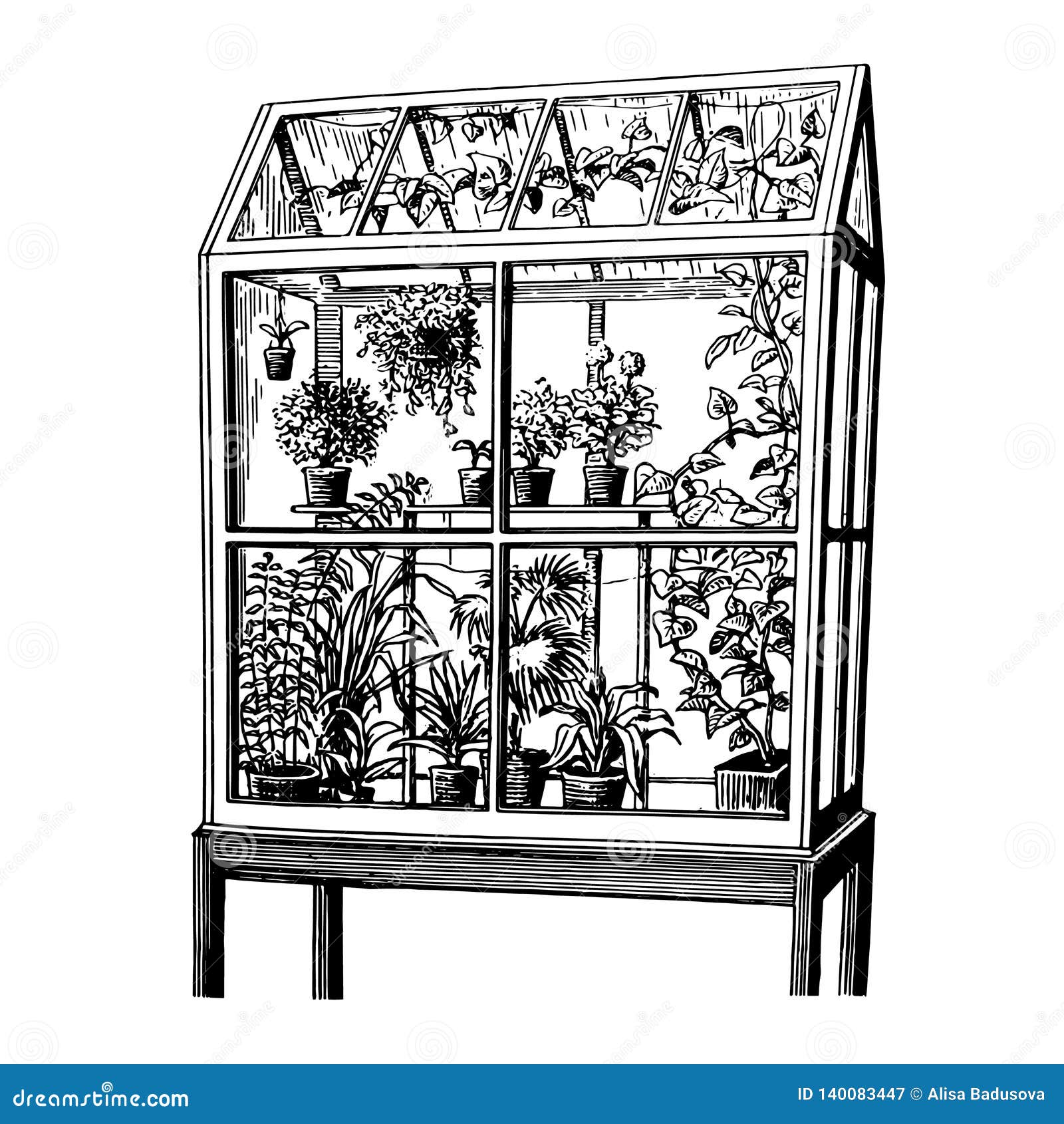 Vector Hand Drawn Sketch of Plants in Greenhouse Illustration on White
