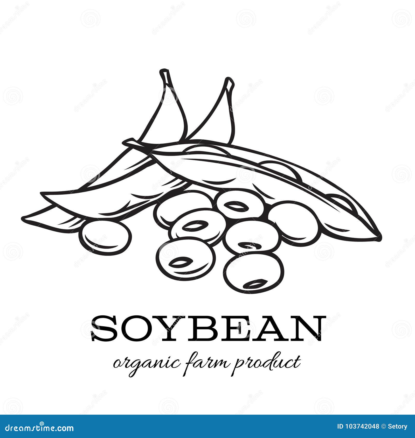 Soya Beans. Milk and Tofu. Soybean Sketch. Pod on Plant. Nuts and Seeds in  Sack Stock Vector - Illustration of agriculture, ingredient: 259990299